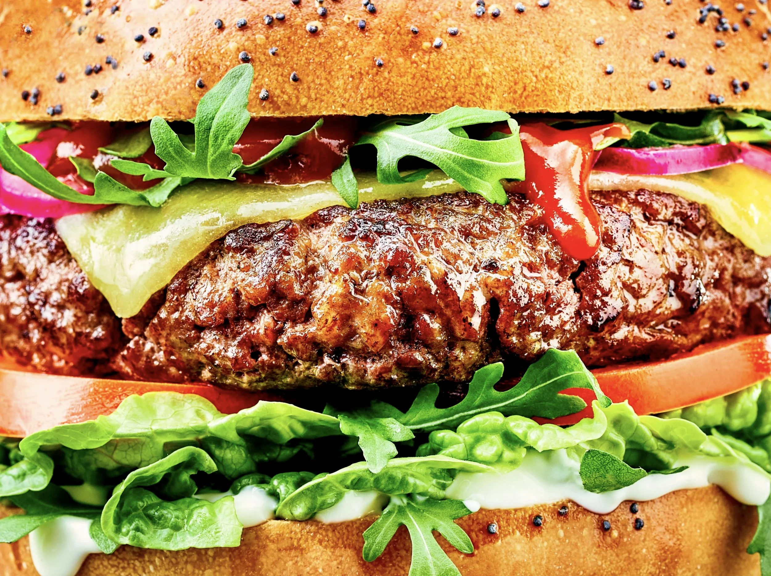 JMS_KAT_MacroBurger.jpg