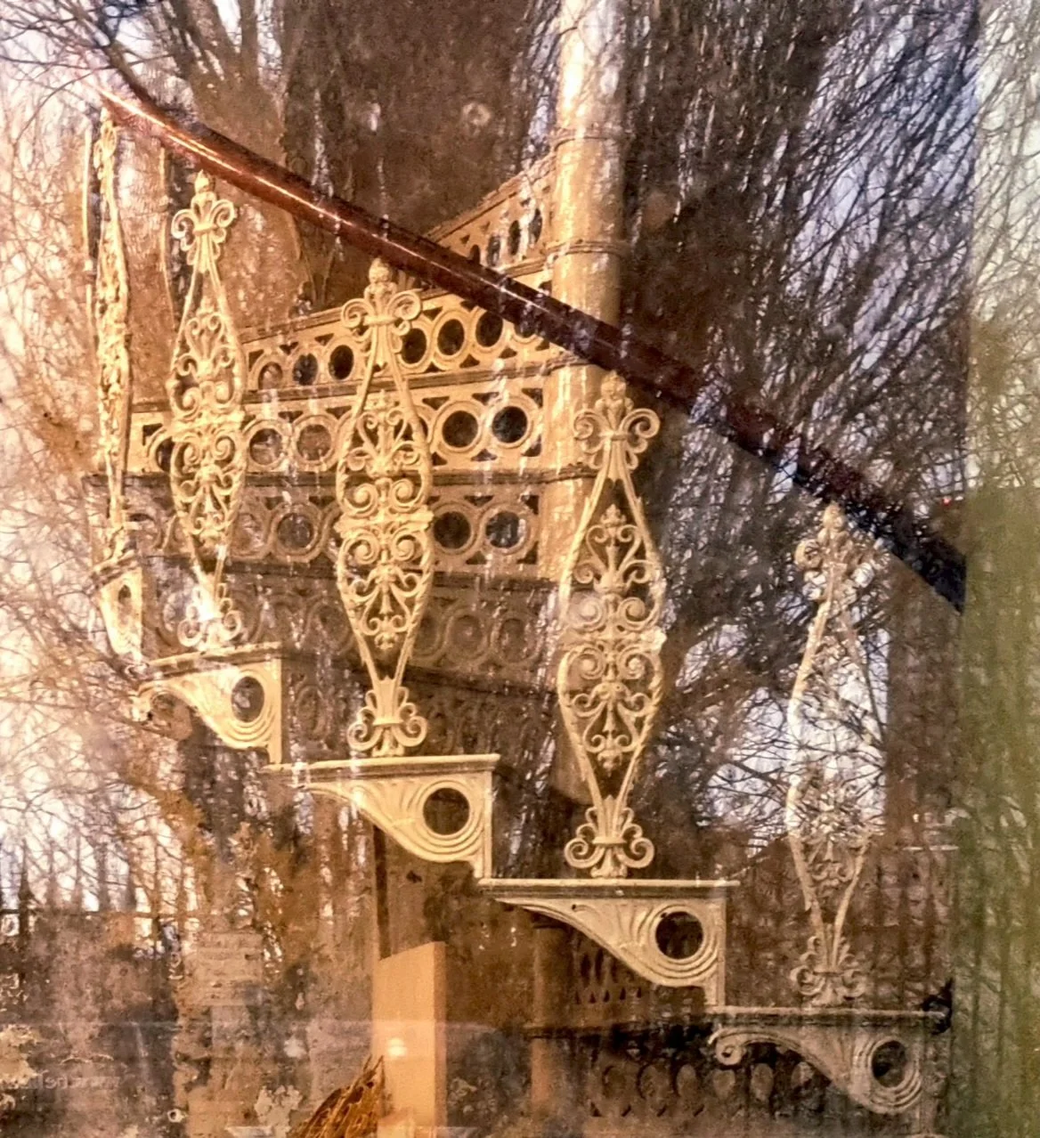 Suffolk Street Tree Spiral reflected 29th January 2026.jpg