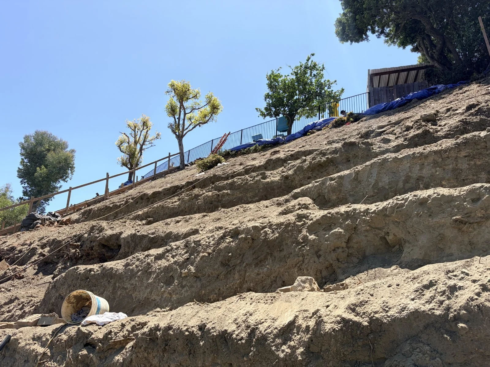 Casiano Hillside