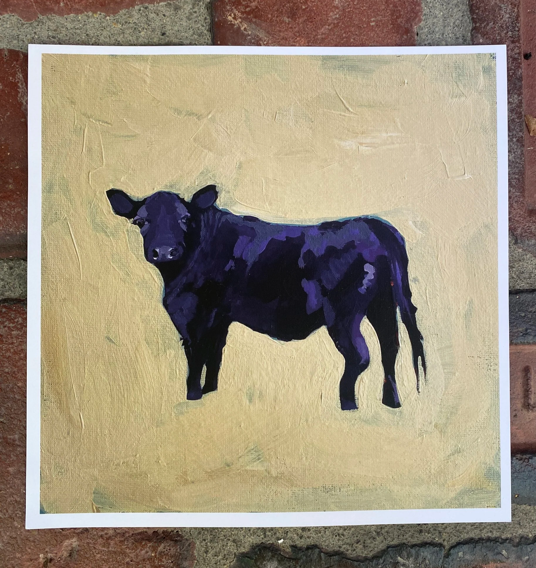 Cow Glare