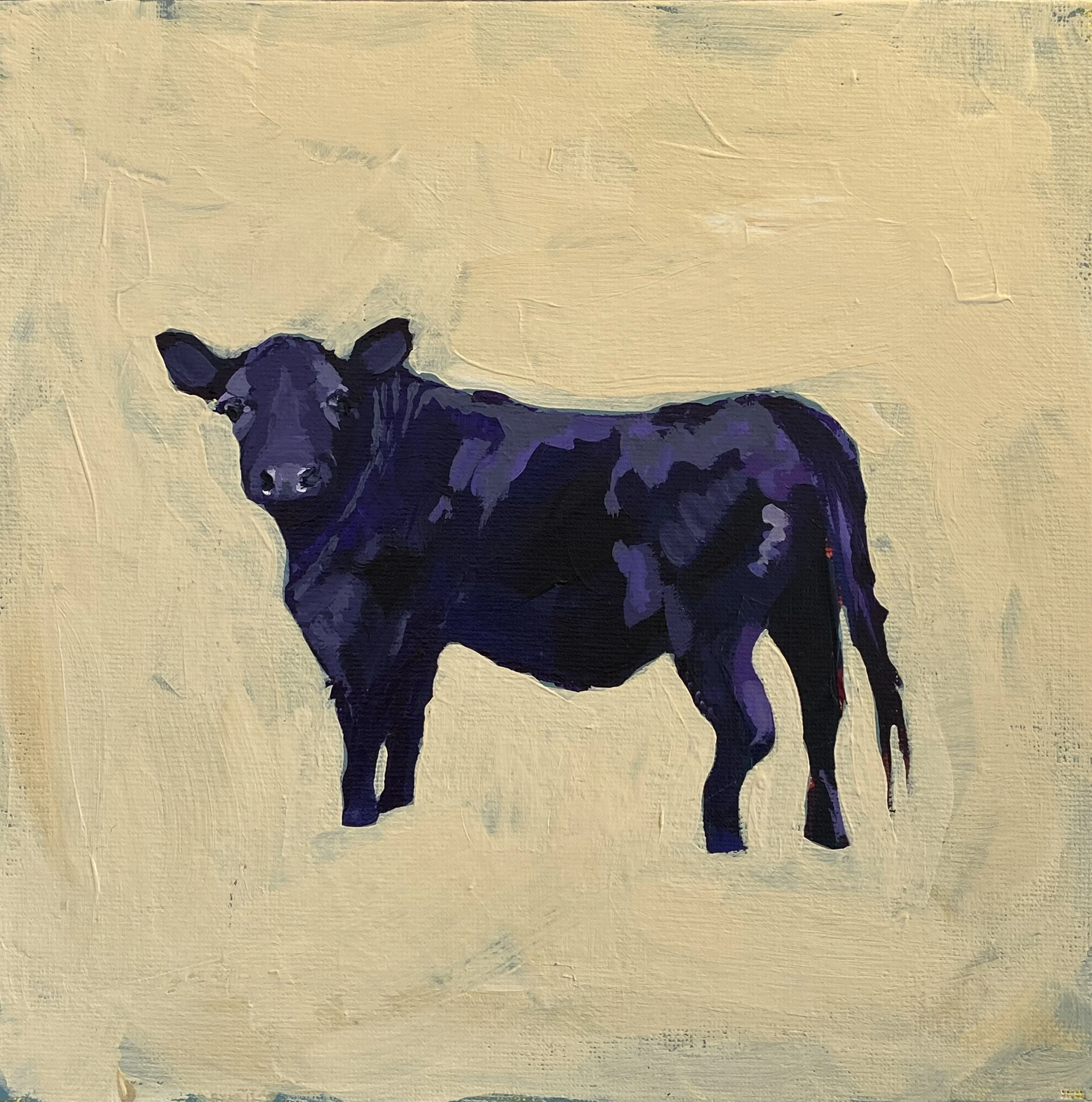 Cow Glare, acrylic on canvas board, 8x8". 2026.