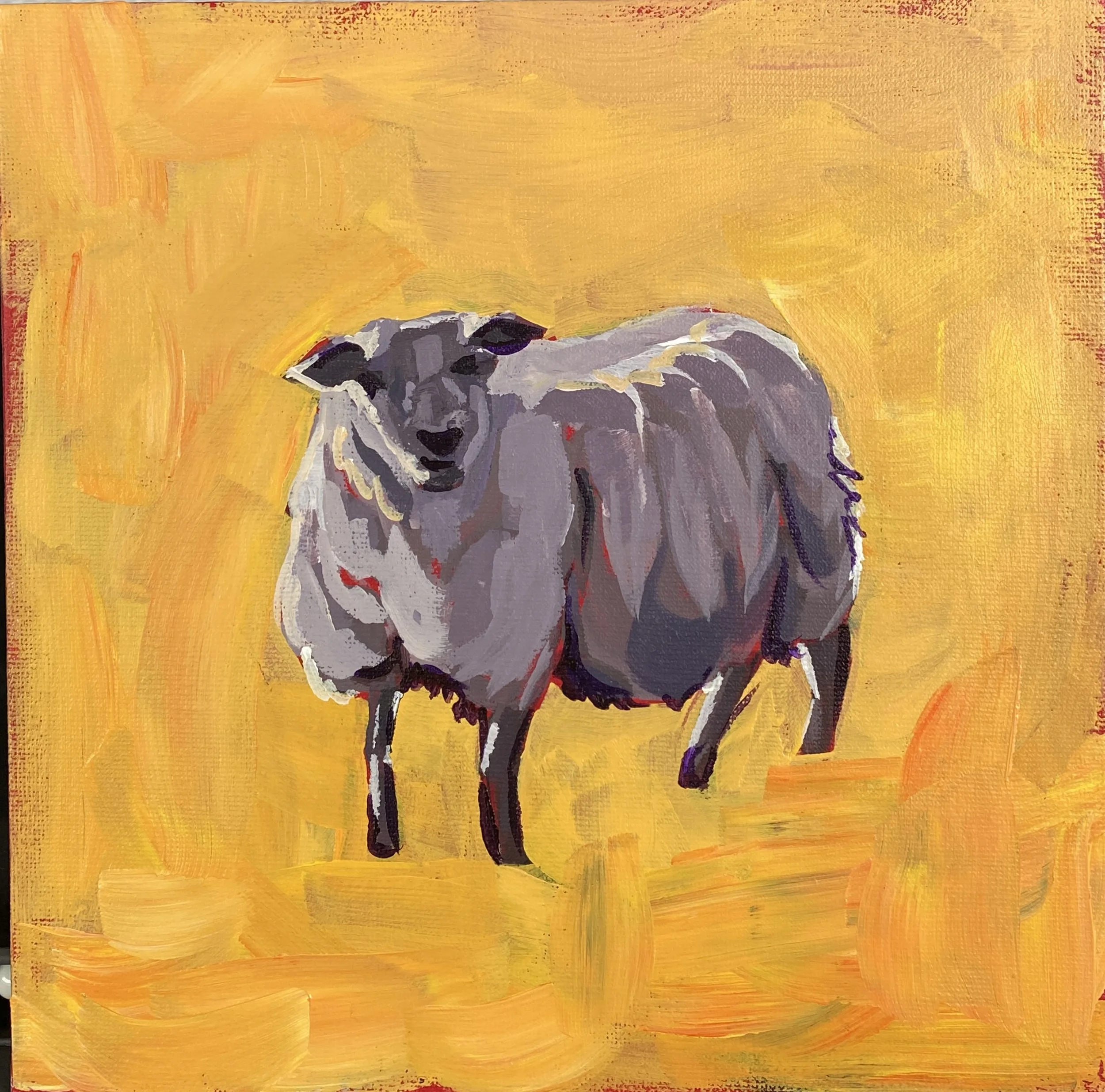 Sheep Stare, Acrylic on canvas board, 8x8". 2026.