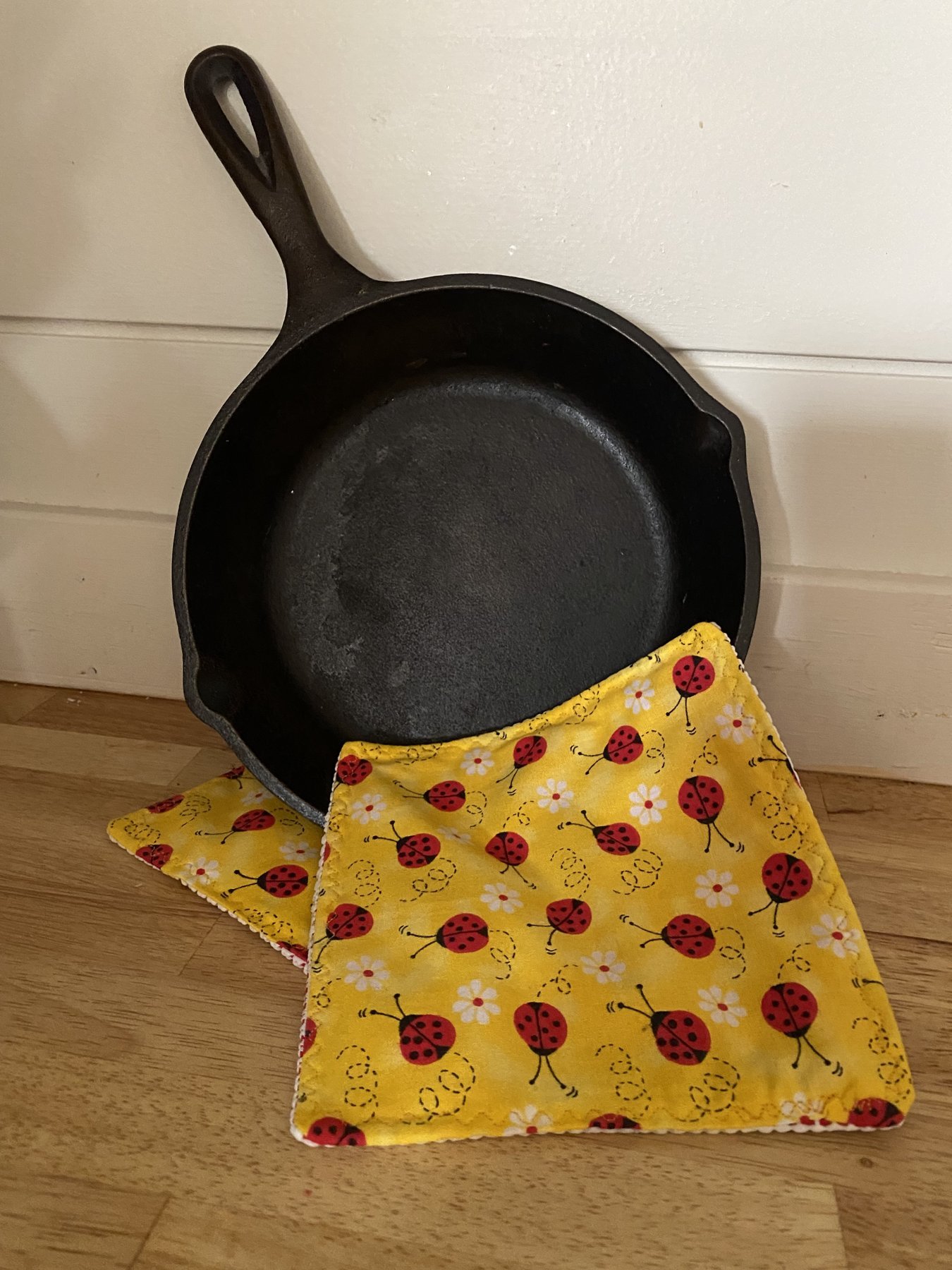 wa_real_ladybug_potholder.jpg