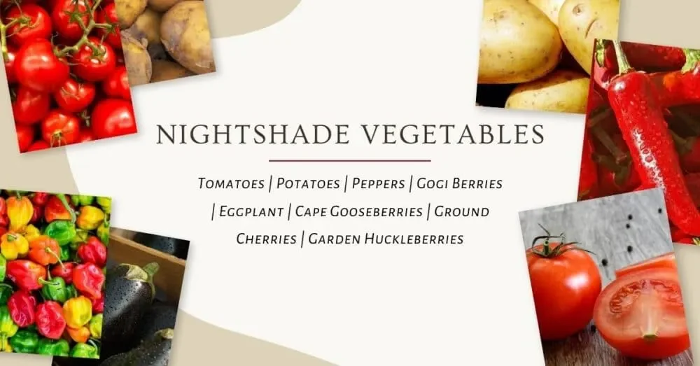 nightshades and joint pain