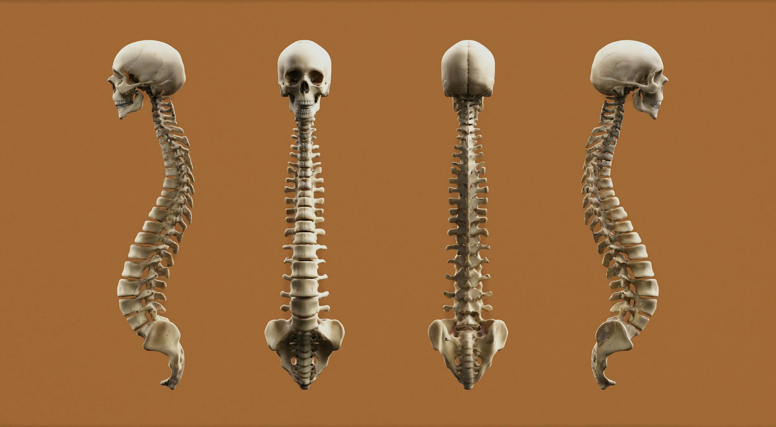 therapeutic massage posture assessment