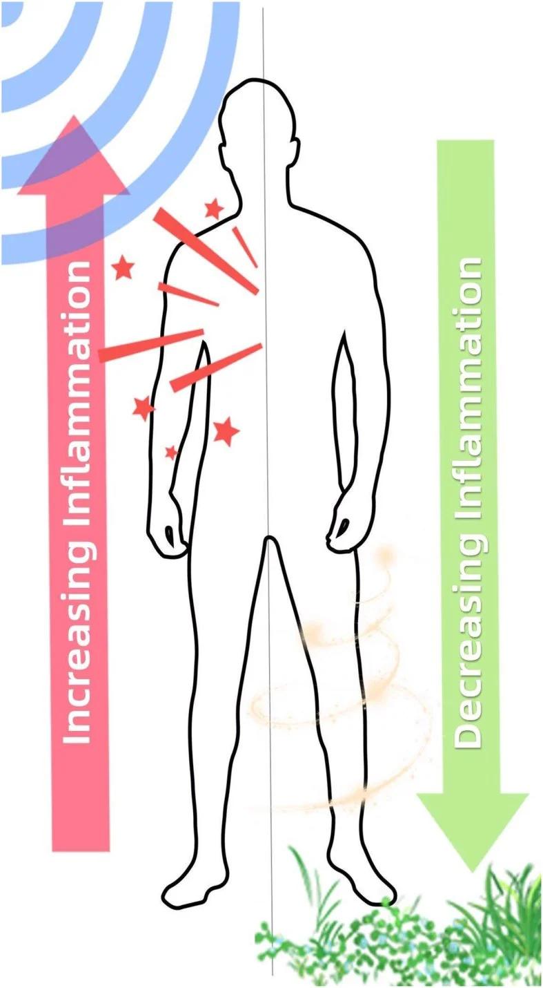 schumann resonance reducing inflammation