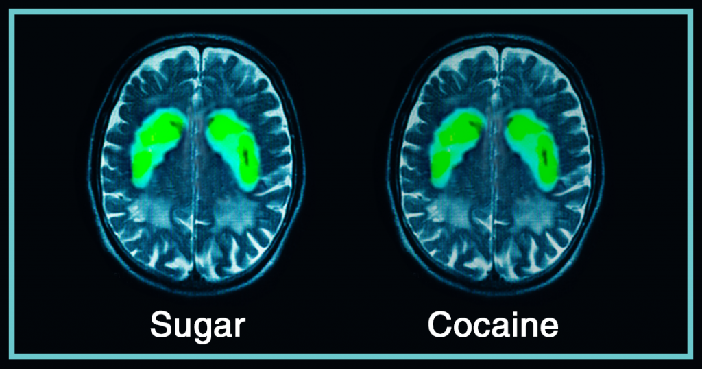 sugar is as addictive as cocaine
