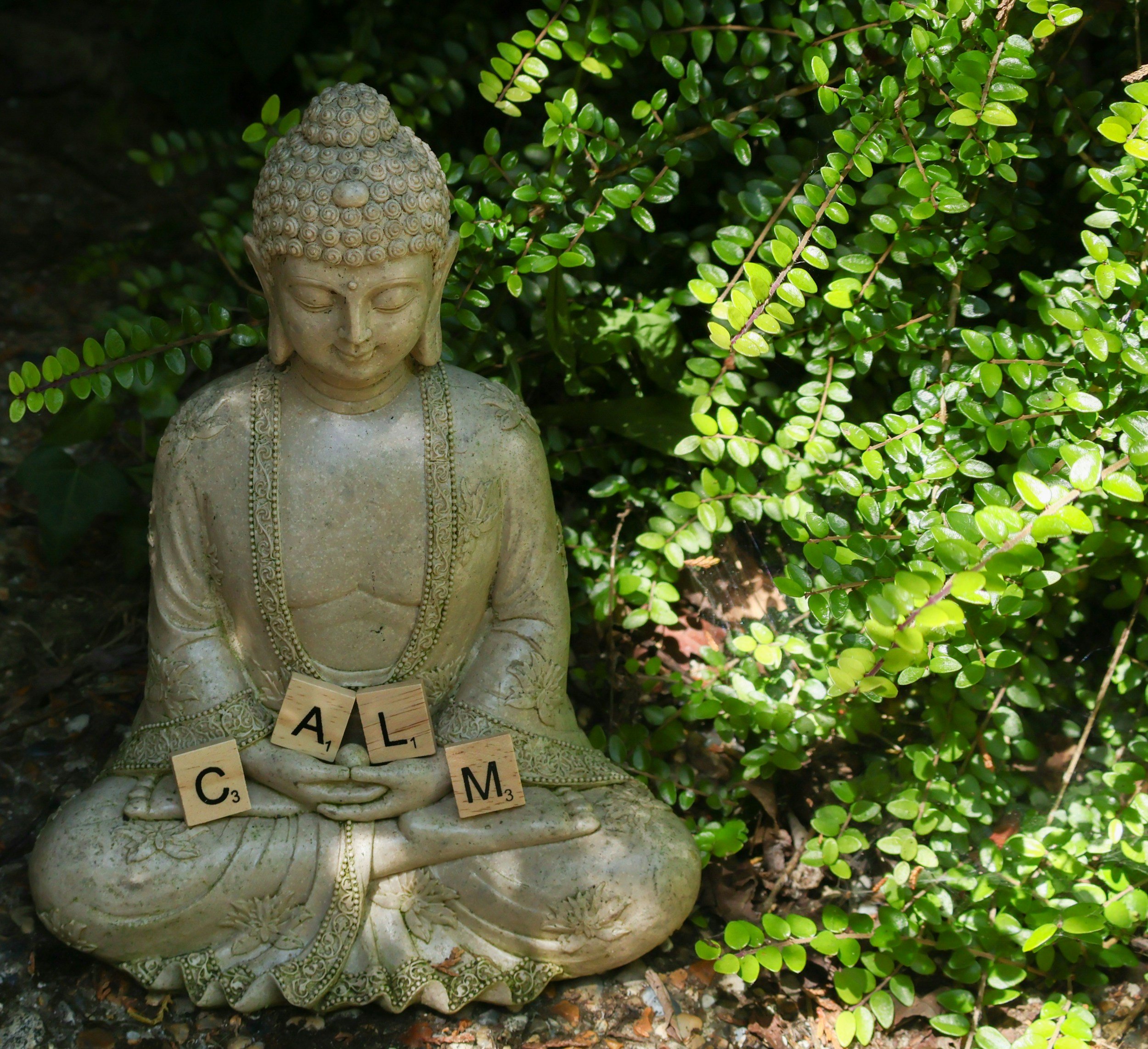 Nervous System Support: Small Daily Habits That Help You Feel Calmer