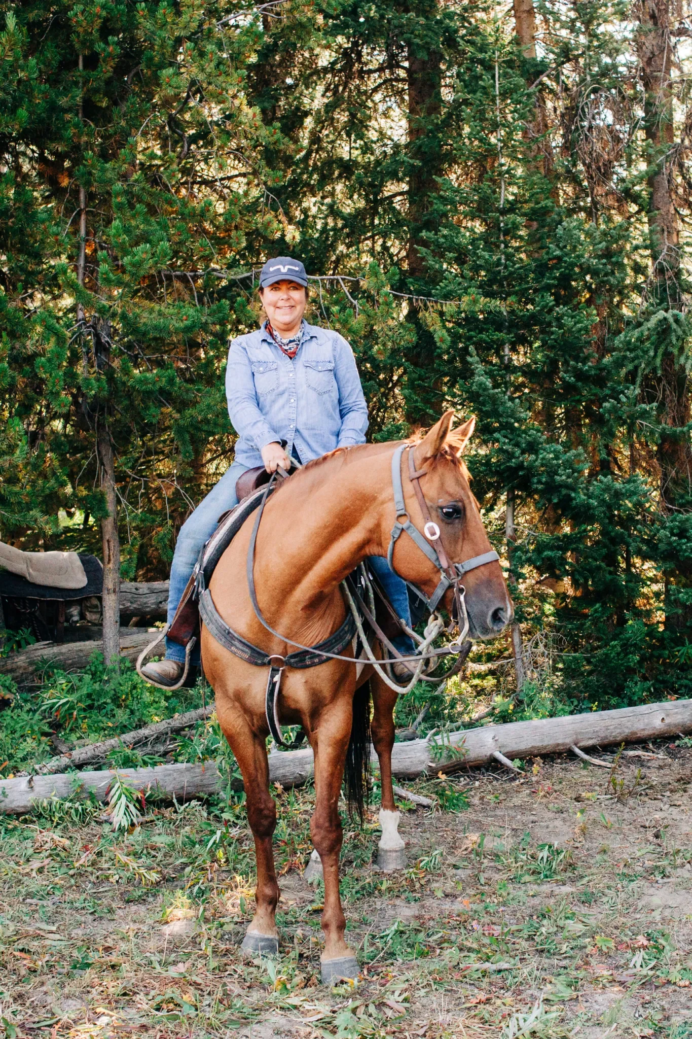 A woman is riding a brown horse in a forested area with green trees and plants in the background. She is wearing a denim shirt, a cap, and a neck gaiter.