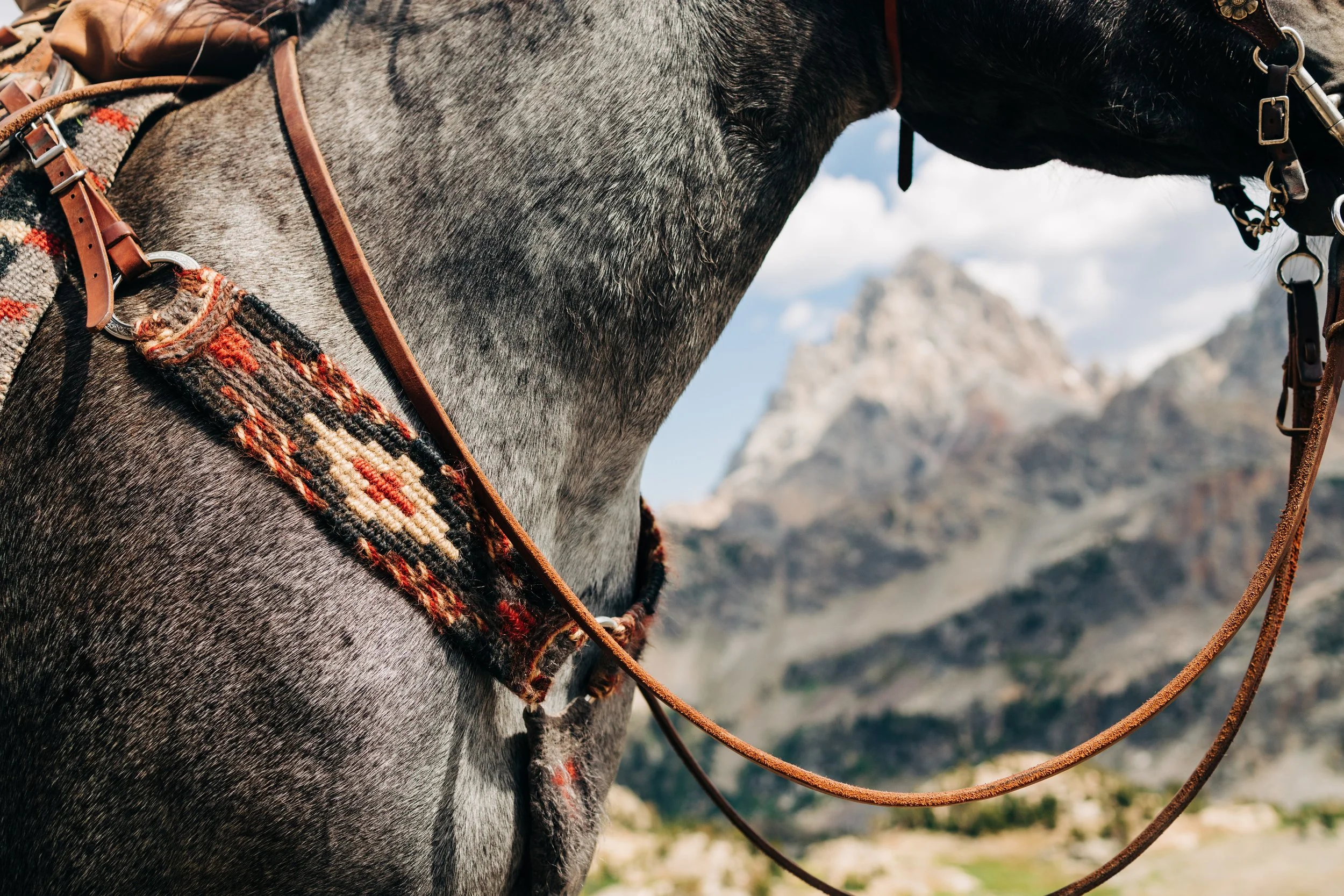 Close-up of a gray horse with a black mane, wearing a colorful woven saddle blanket and leather tack, with mountainous landscape and blue sky in the background.