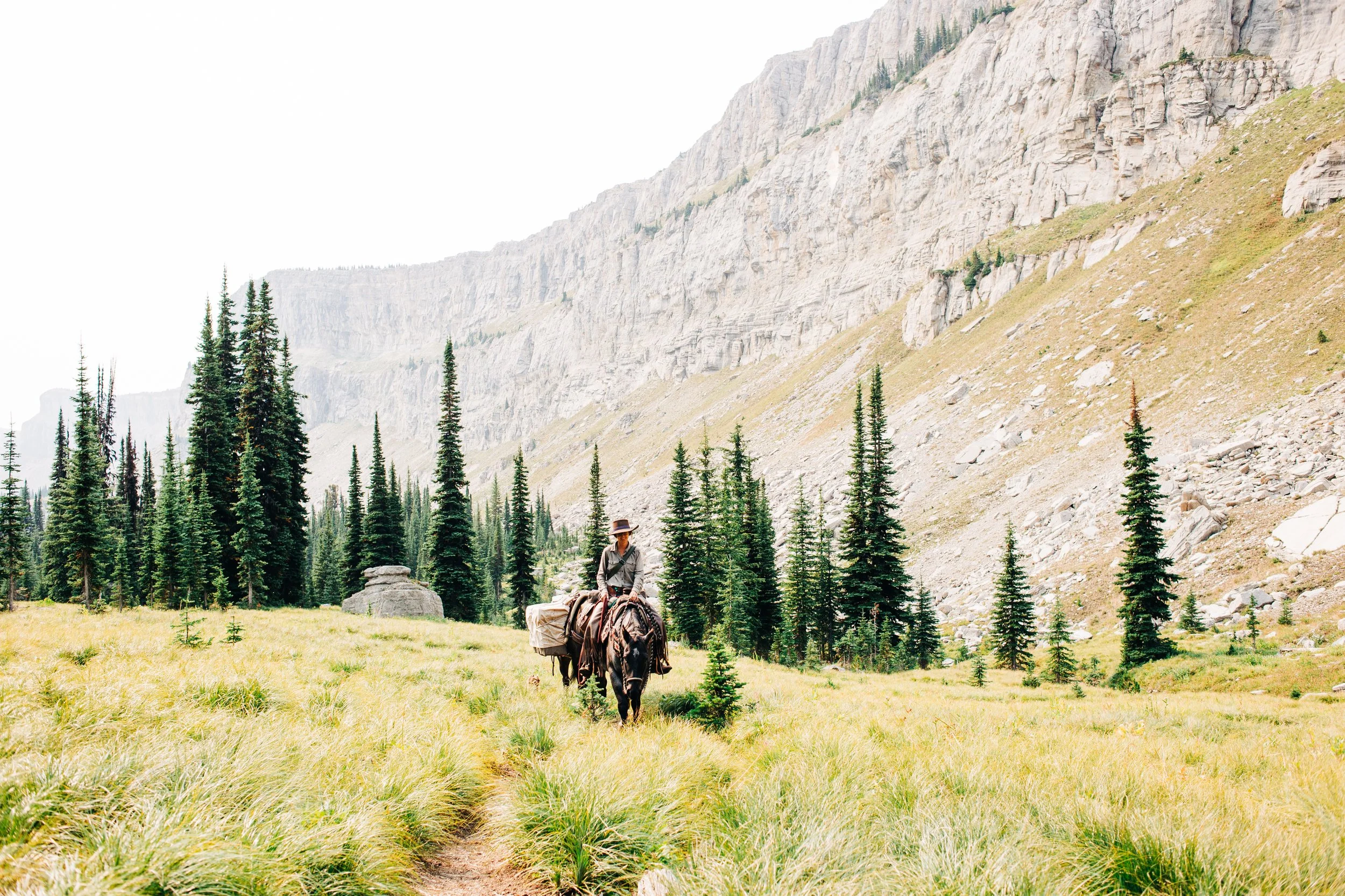 Hiker with backpacks walking through a grassy meadow with pine trees, mountain cliffs in the background.