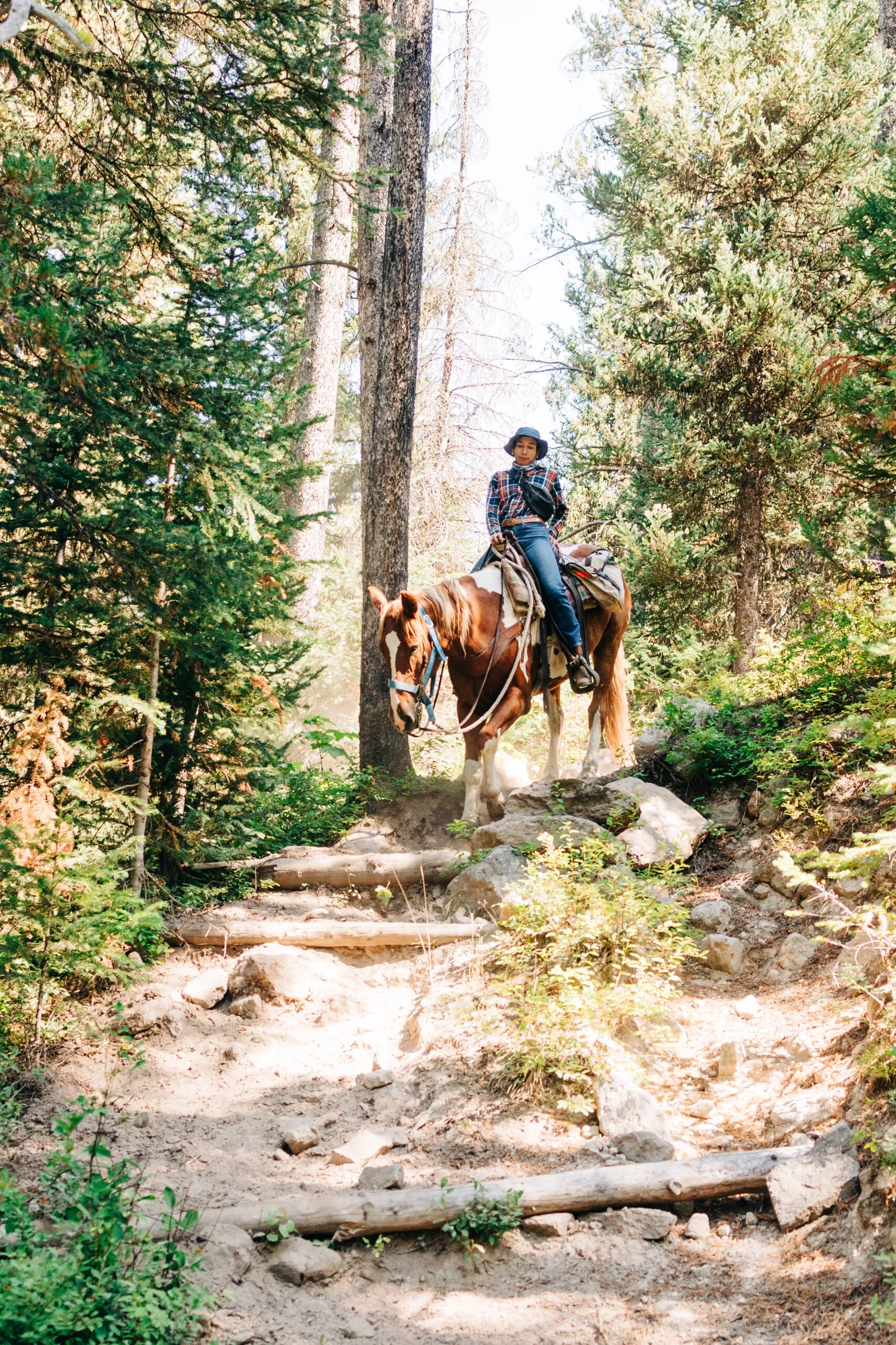 A woman riding a horse on a trail through a forested area with trees and rocks.