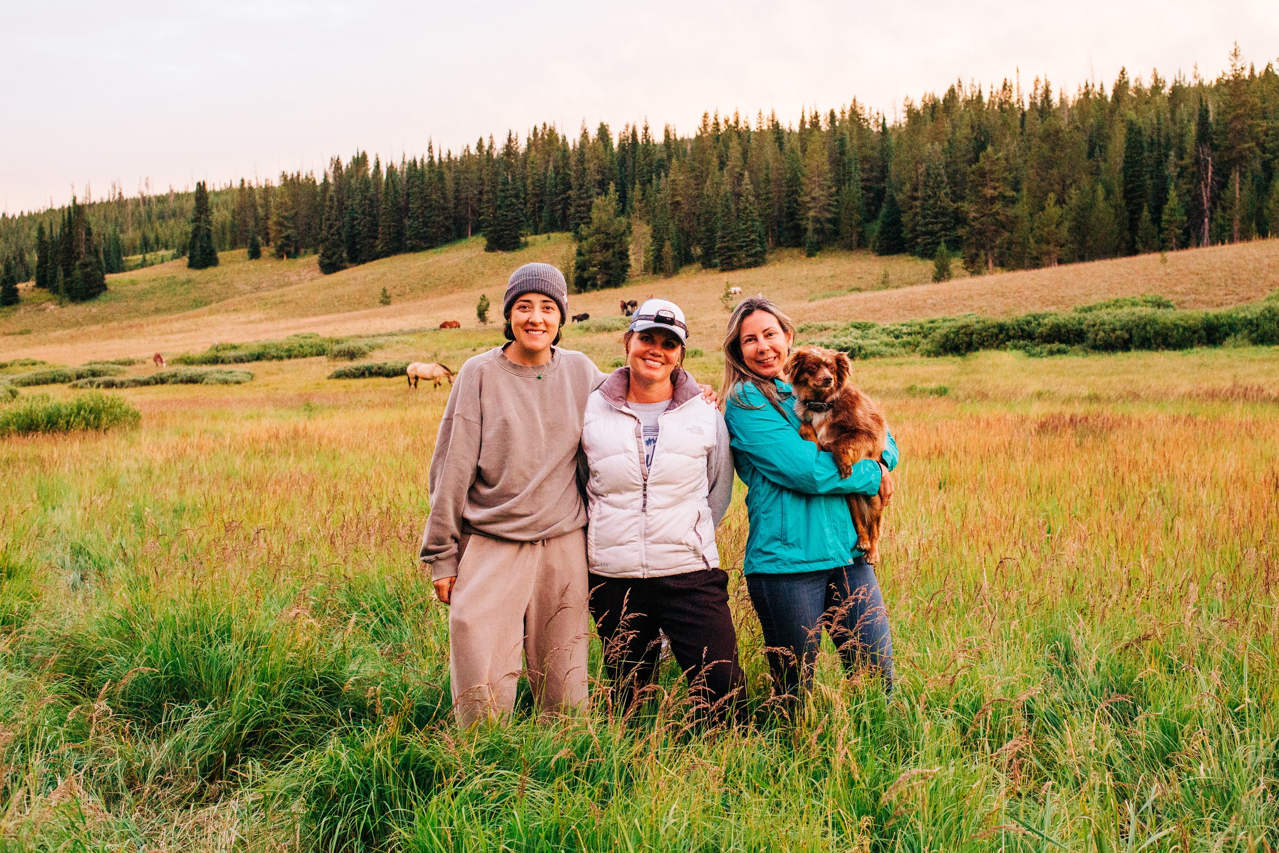 Three women standing together in a grassy field with a forested hillside in the background, smiling, with horses grazing behind them; one woman is holding a small brown dog.
