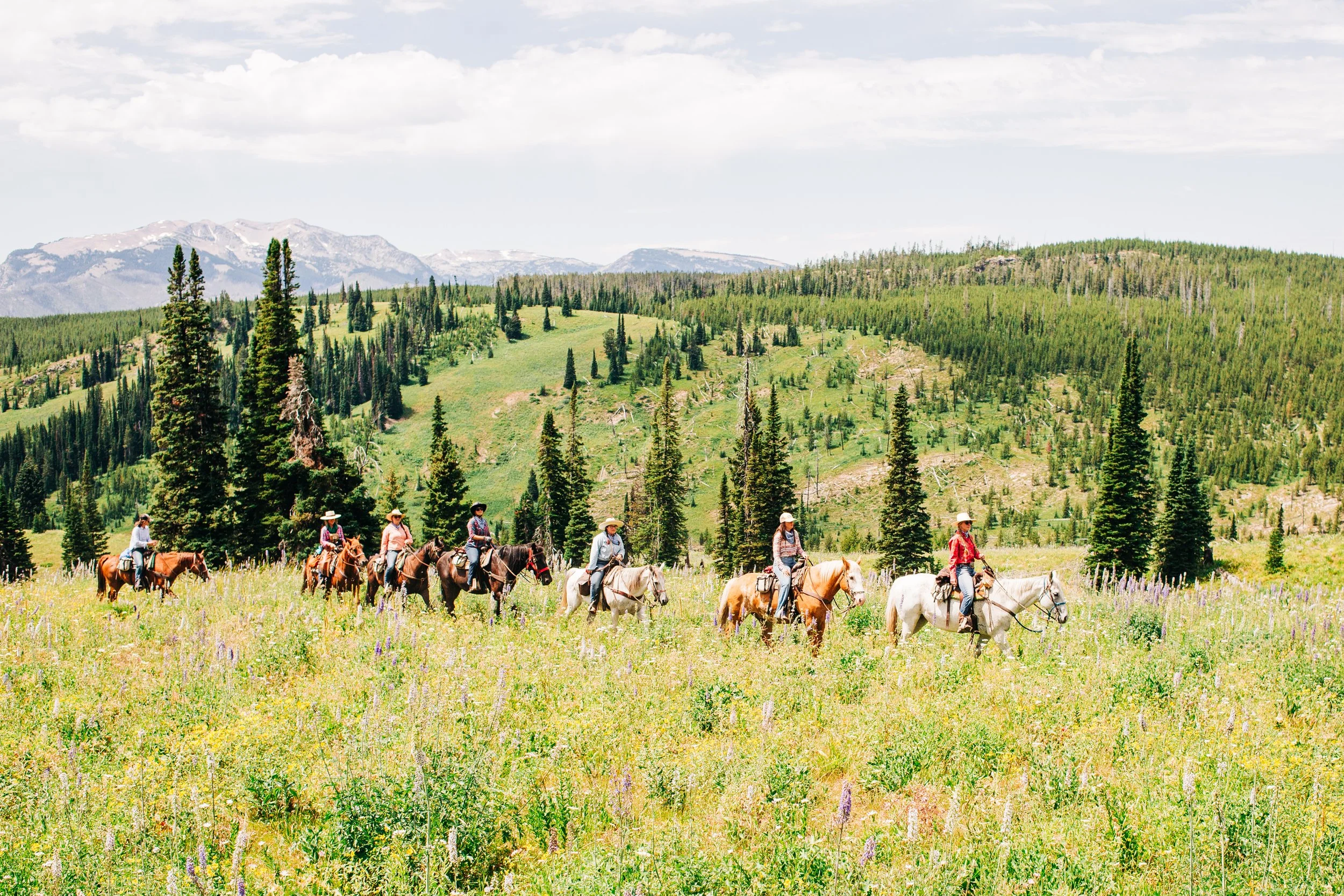 Group of people horseback riding along a trail in a scenic mountain landscape with green fields, tall trees, and snow-capped peaks in the distance under a partly cloudy sky.