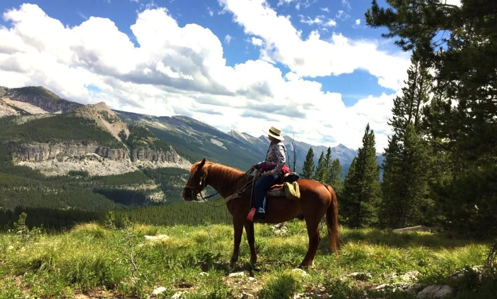 Person riding a brown horse on a grassy trail surrounded by trees with mountains in the background under a partly cloudy sky.