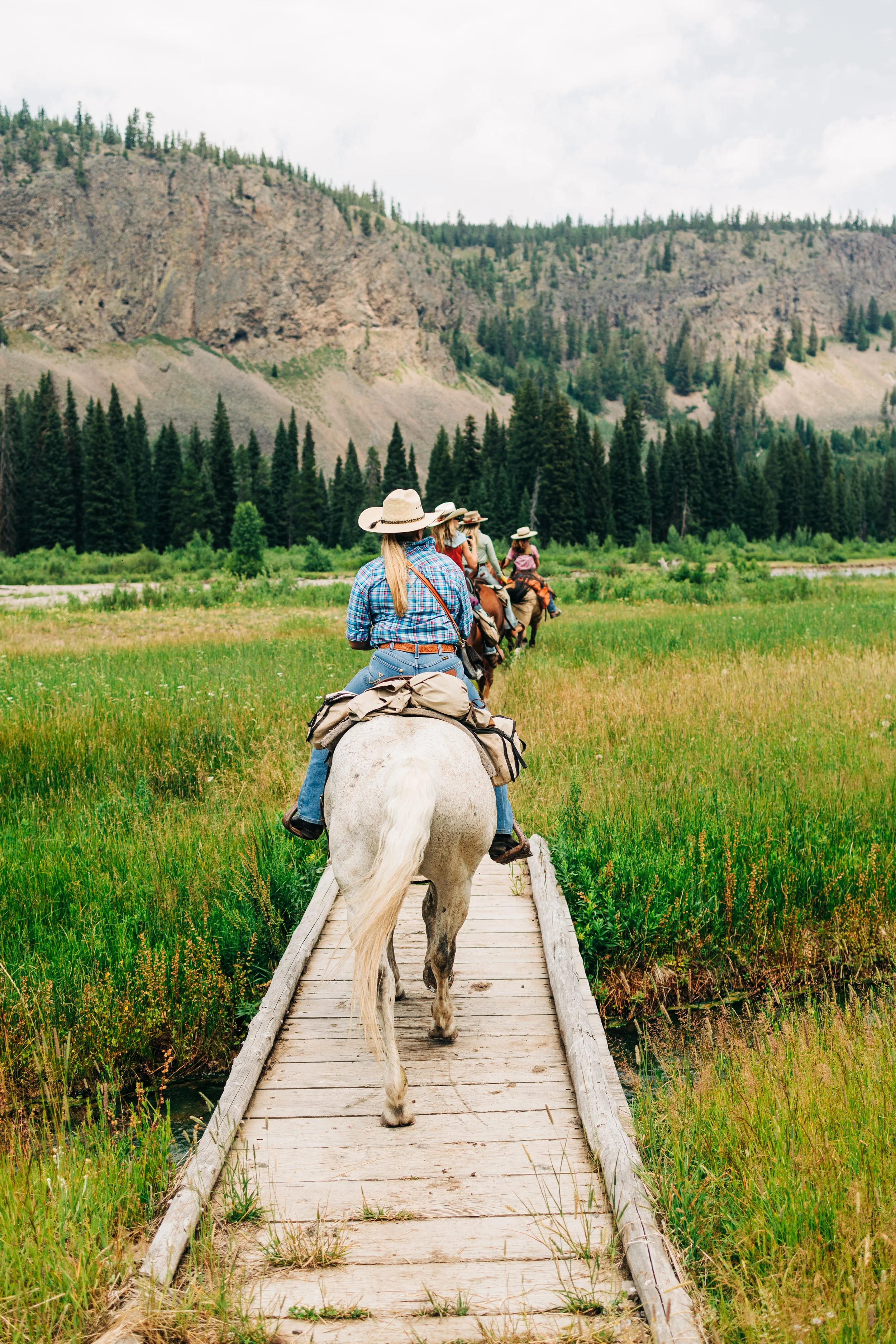 A group of people horseback riding on a narrow wooden trail through green grass and wetlands with tall pine trees and rocky mountains in the background.
