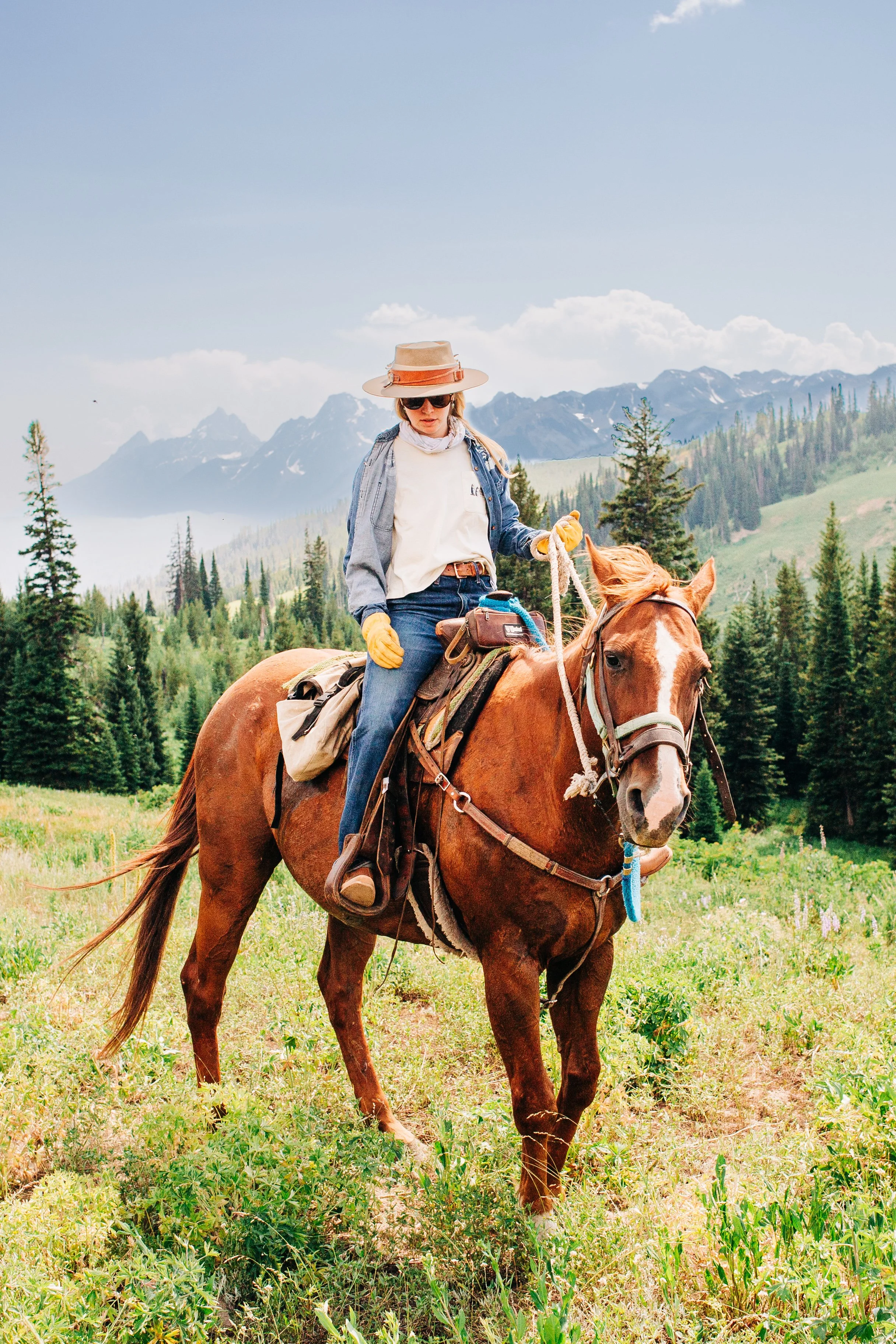 A woman wearing a beige hat, sunglasses, and yellow gloves riding a brown horse in a green field with mountains and trees in the background.