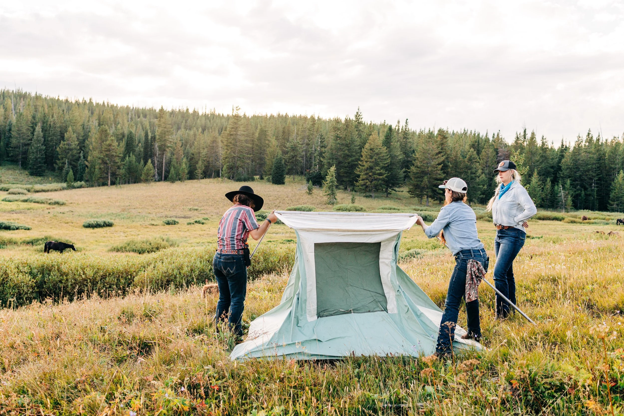 Three women setting up a tent in a grassy field with a forest and cloudy sky in the background.