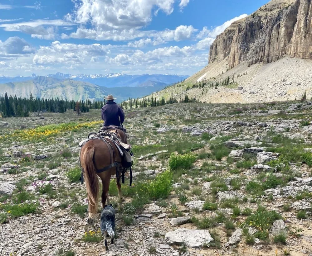 Person riding a horse with a dog walking next to them in a mountainous landscape with rocky terrain, sparse vegetation, and distant snow-capped mountains under a partly cloudy sky.