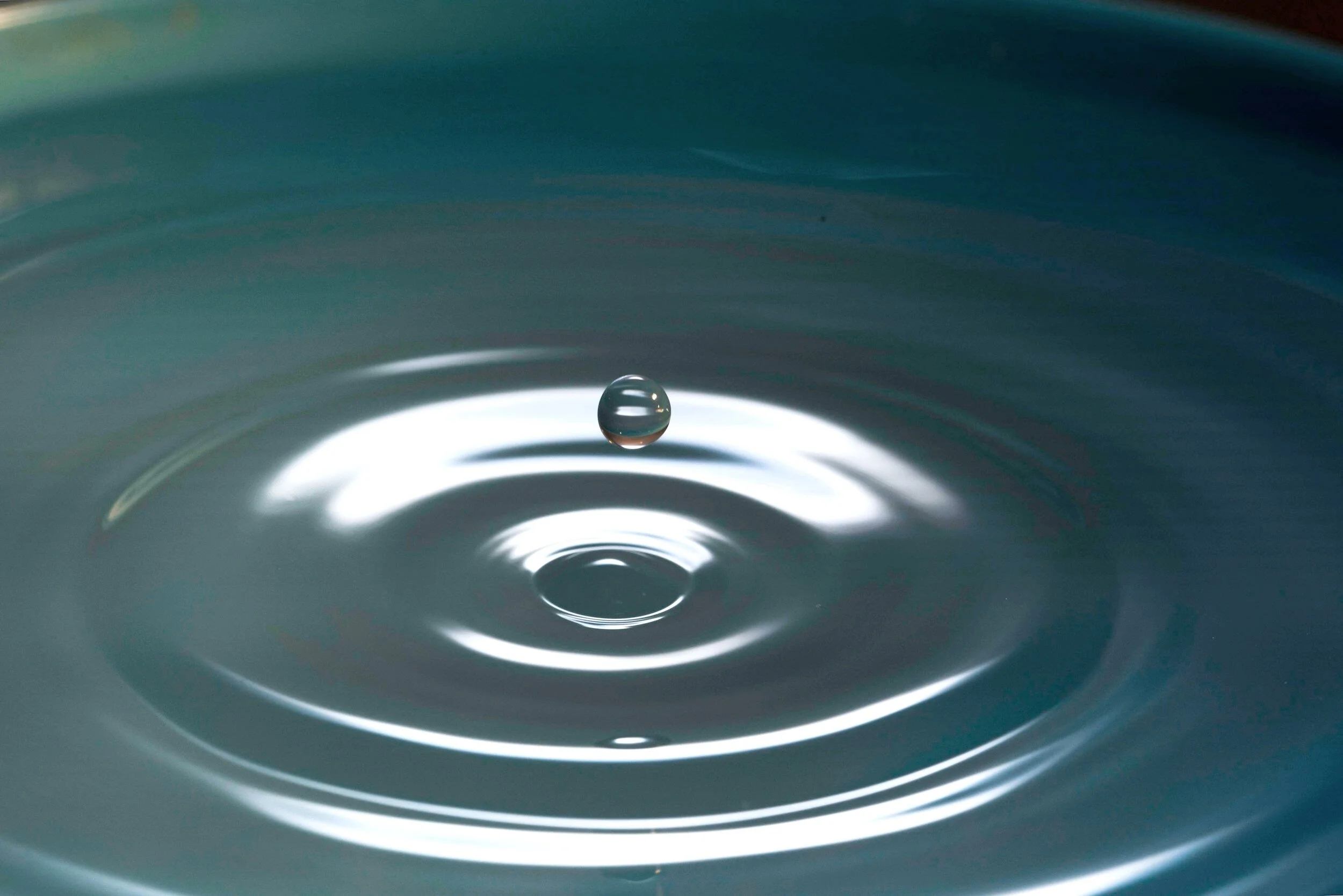 Close-up of a water droplet creating ripples on the surface of a body of water.
