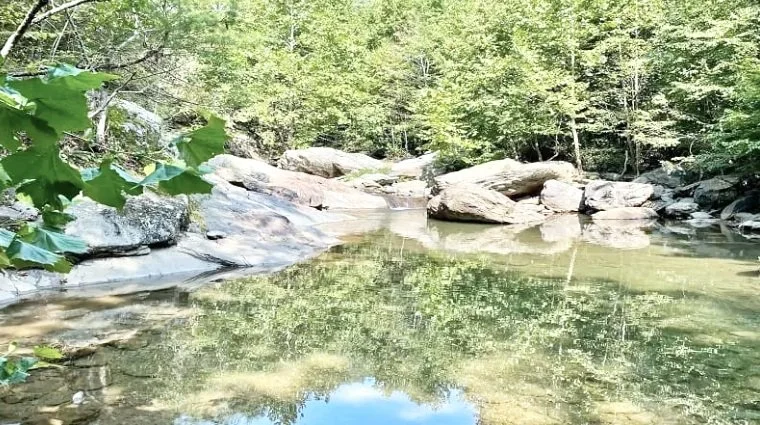 Sugar Hollow Trail