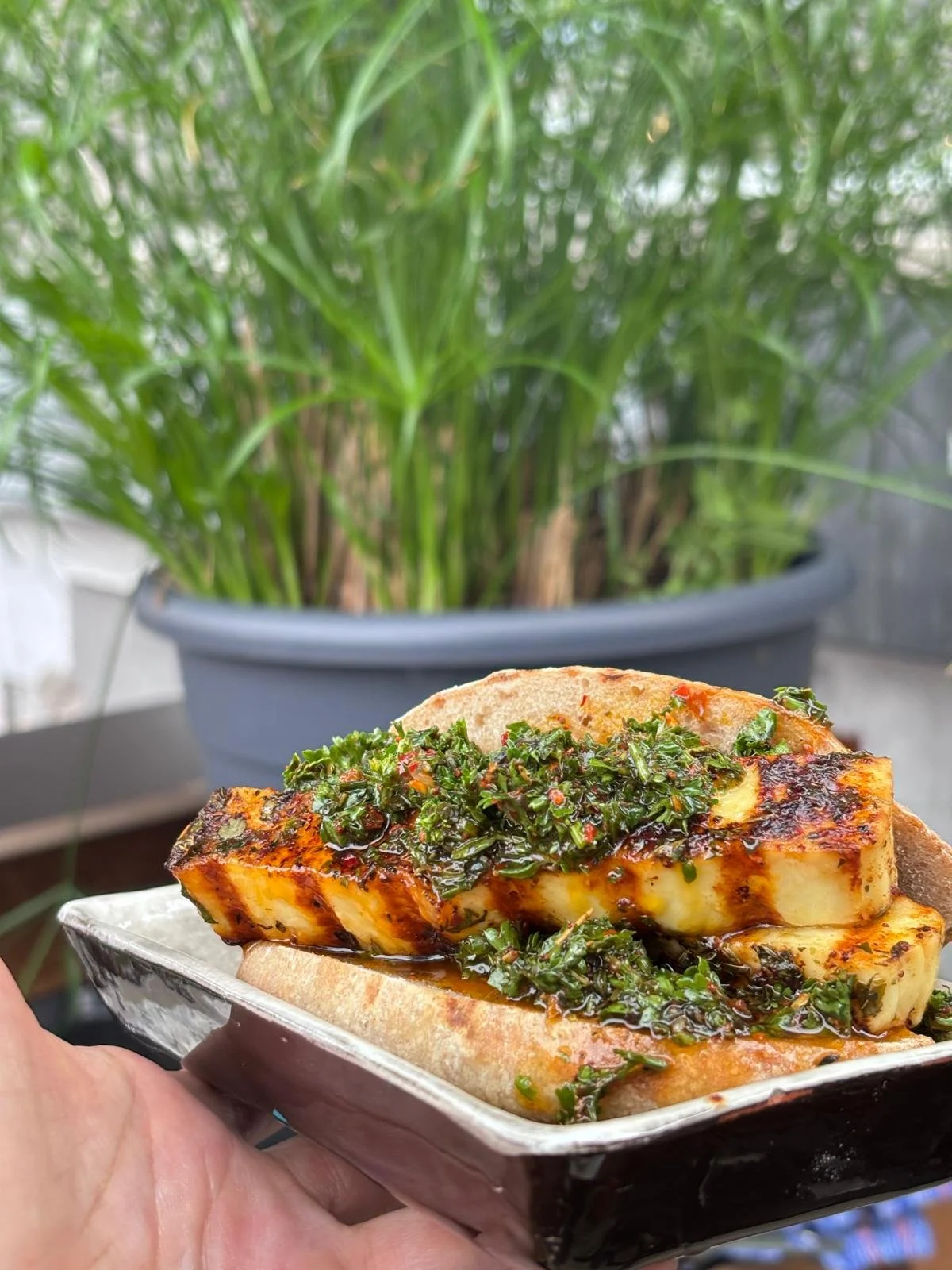 Poisson grillé avec une sauce verte, servi dans un pain, tenu dans une main, avec une plante verte en arrière-plan.