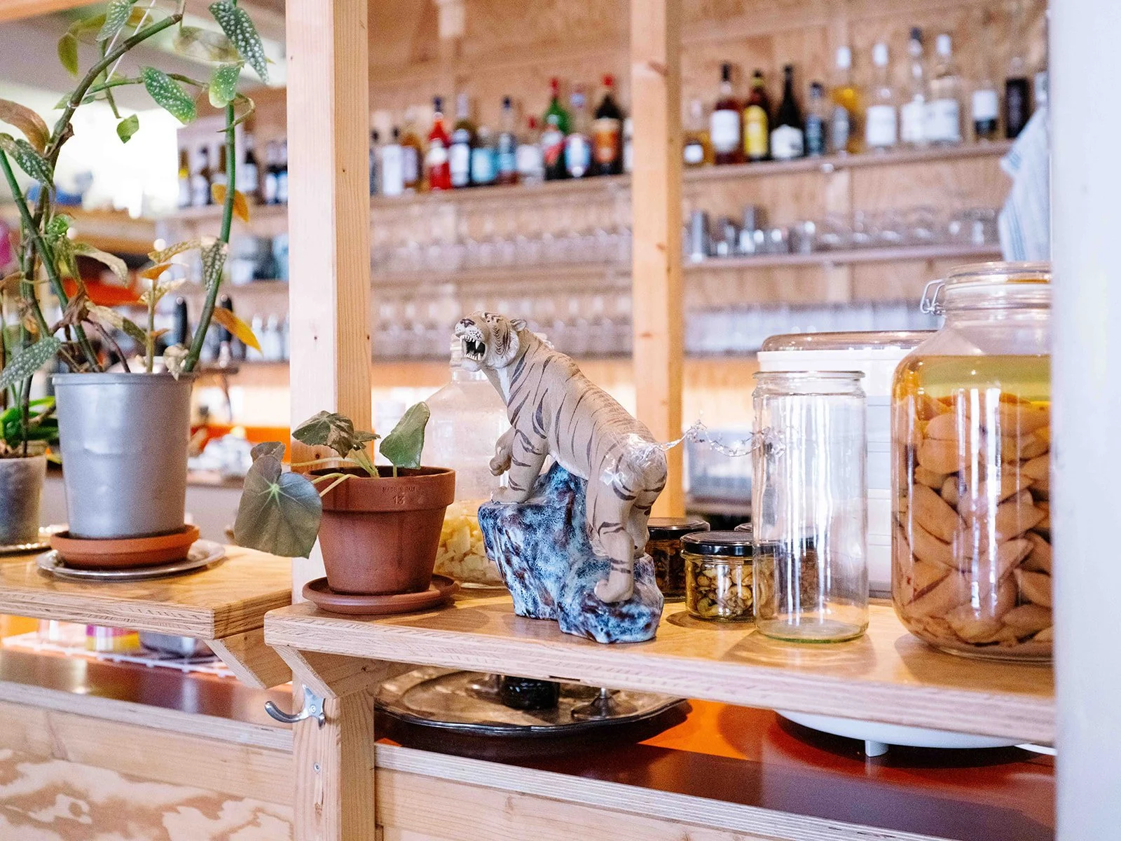 Décoration intérieure avec plantes en pot, figurine de tigre, bocaux en verre contenant des biscuits, étagères en bois avec bouteilles de différentes couleurs dans un café ou une cuisine.