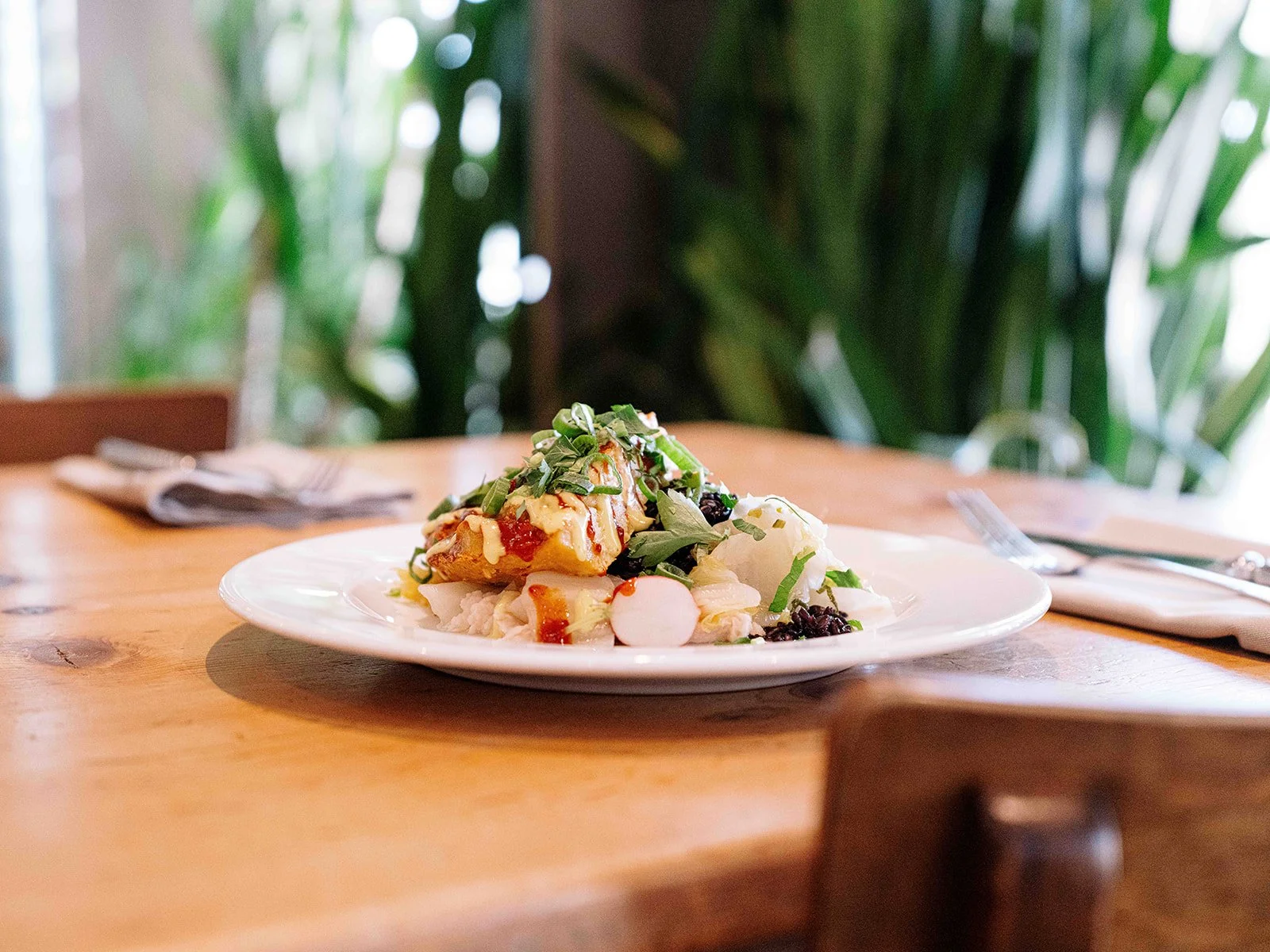Assiette de nourriture avec des légumes, des radis et une sauce, sur une table en bois dans un restaurant ou un café avec un fond de plantes vertes.