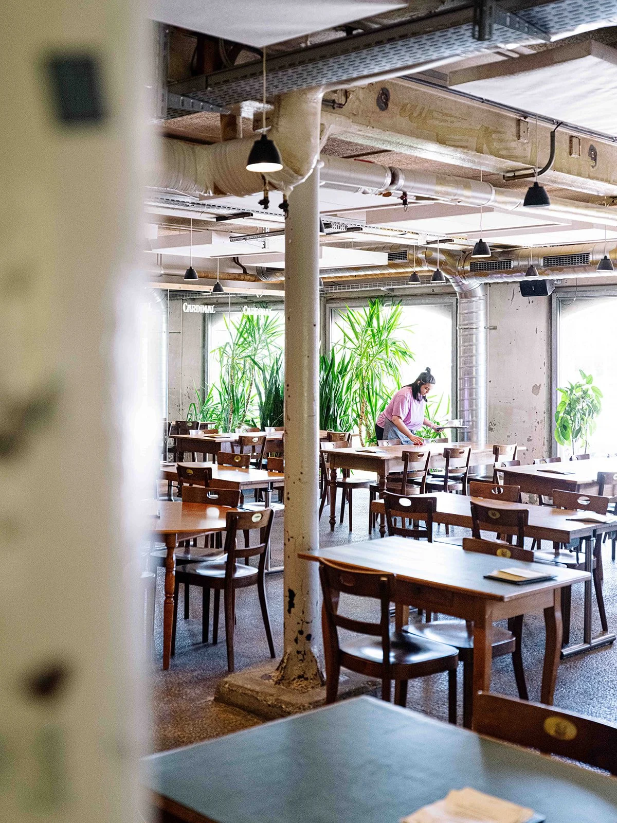 Une femme en train de nettoyer une salle de restaurant avec des tables en bois et des chaises, entourée de plantes vertes, dans un décor industriel avec des conduits apparents et de grandes fenêtres.
