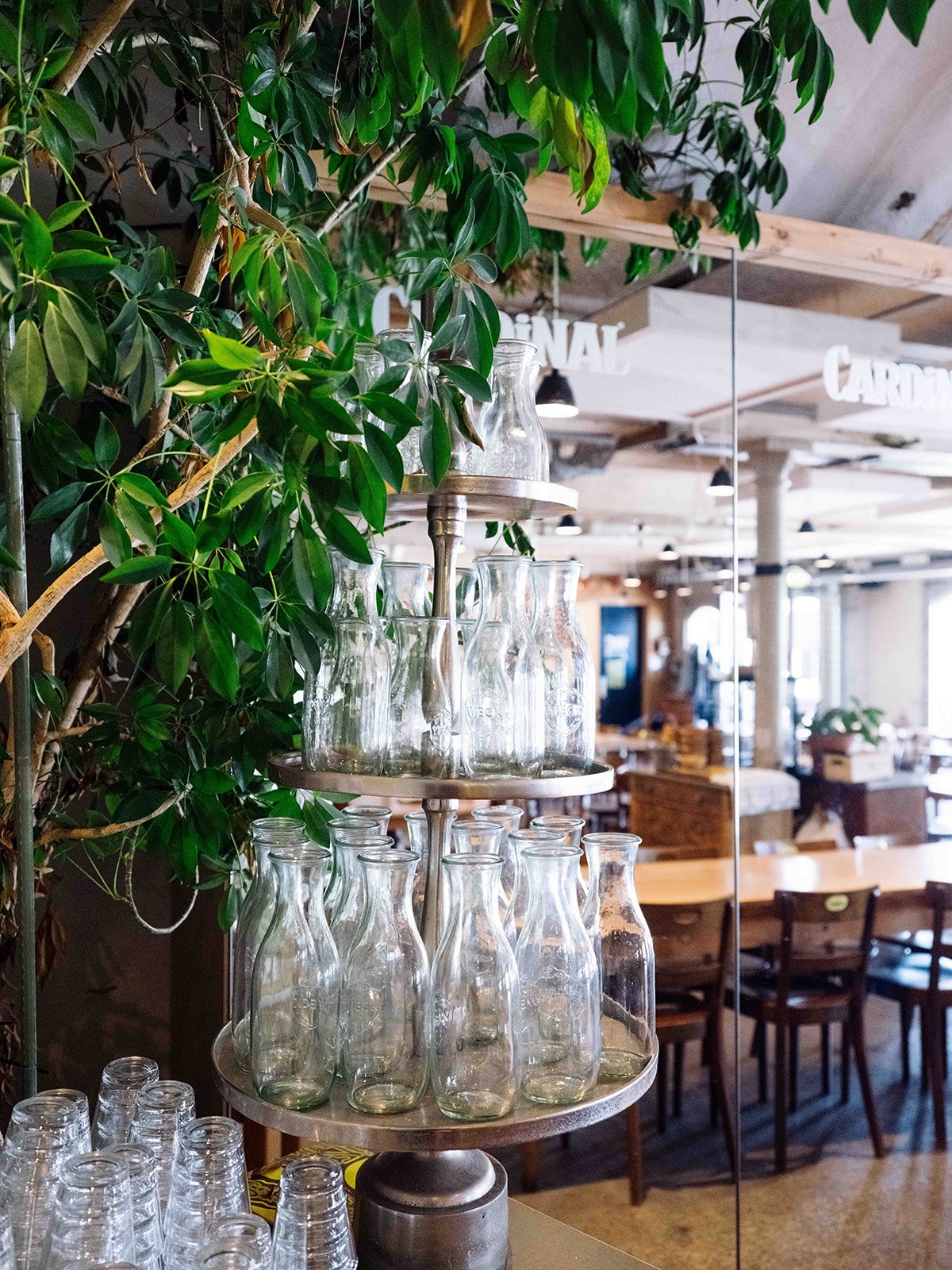 Vase en verre avec des bouteilles transparentes sur une étagère en métal, entouré de feuilles vertes dans un restaurant ou un café avec un décor en bois.