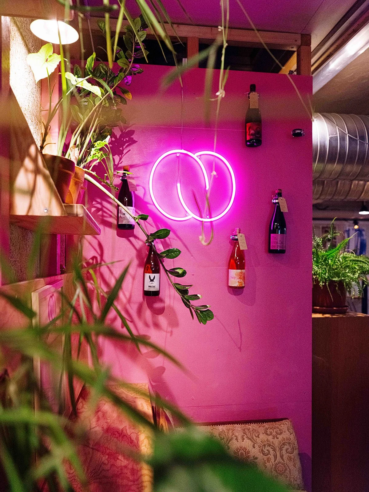 Un mur peint en rose avec une enseigne en néon rose en forme de deux cercles. Sur le mur, il y a des bouteilles de vin et des plantes vertes. La scène semble être dans un intérieur chaleureux et décoratif.
