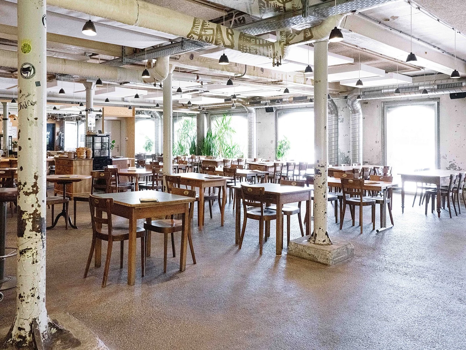 Une salle de restaurant ou café avec des tables en bois et des chaises, des plantes vertes près des fenêtres, et un décor industriel avec des tuyaux apparents et des plafonds blancs.