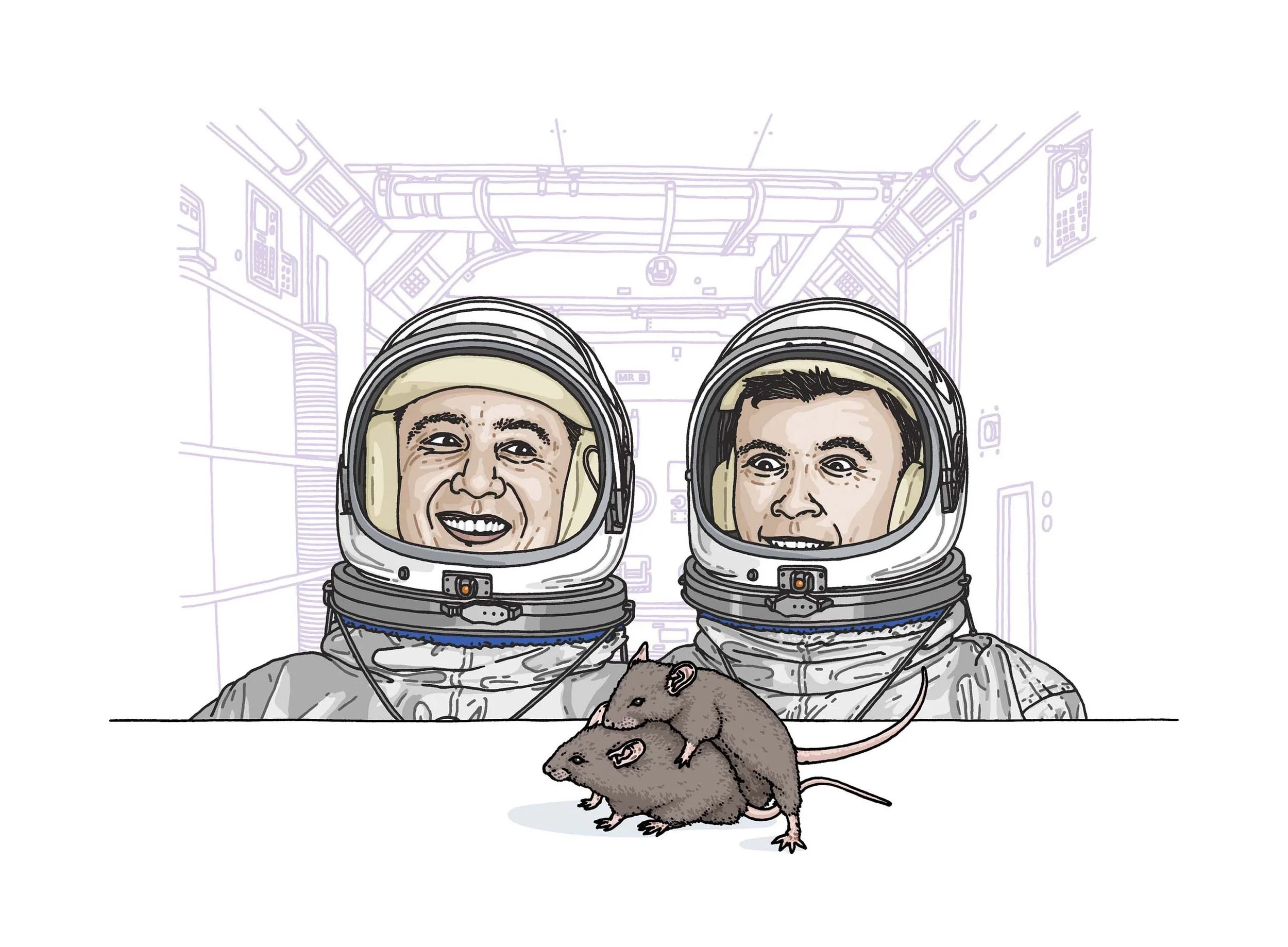 Mr B_W26 - Illustration work 20.jpg