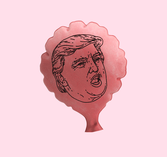 Mr B_W26_Trump cushion GRID.gif