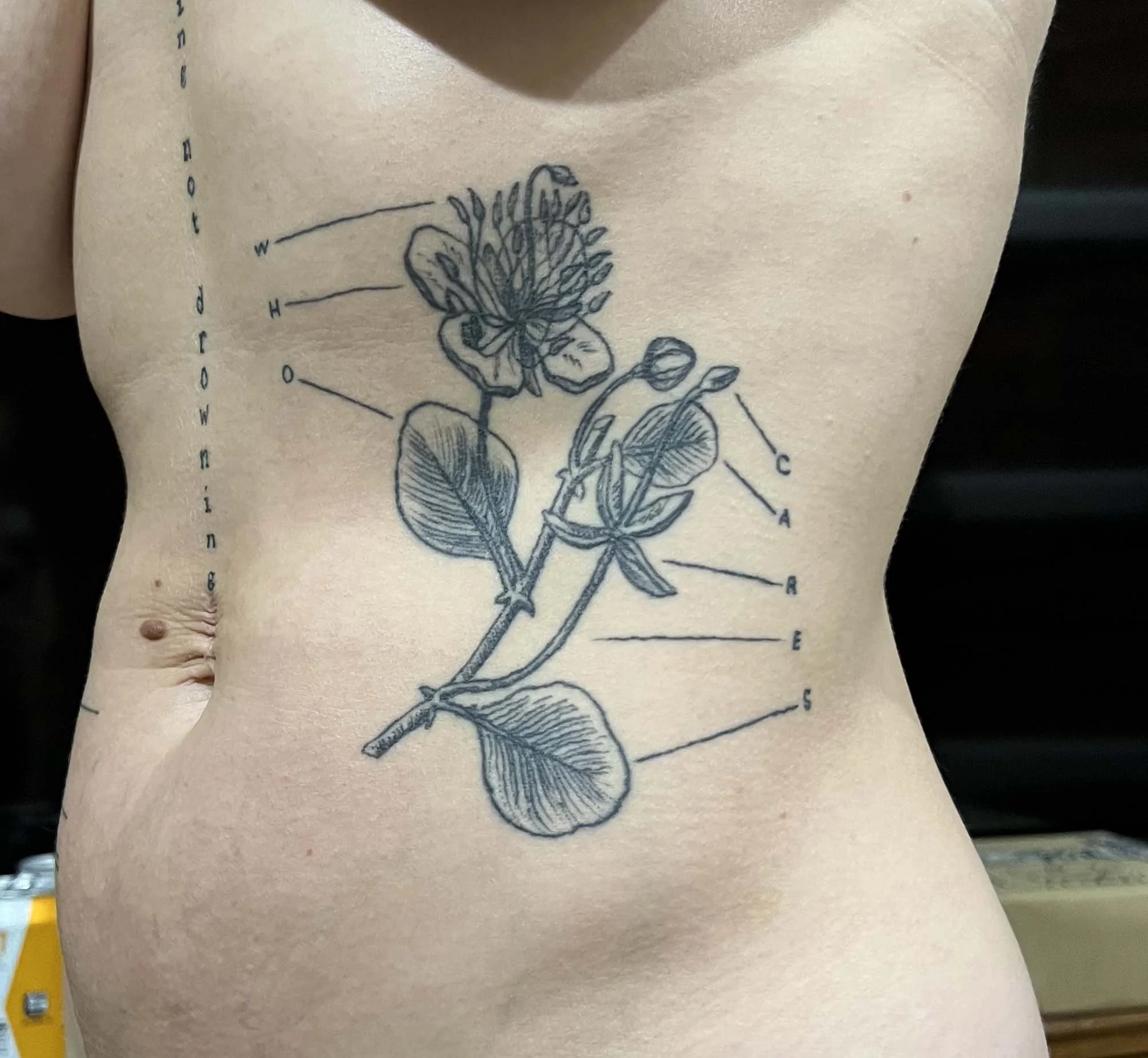 Mr B_W26_Tattoo 05.jpg