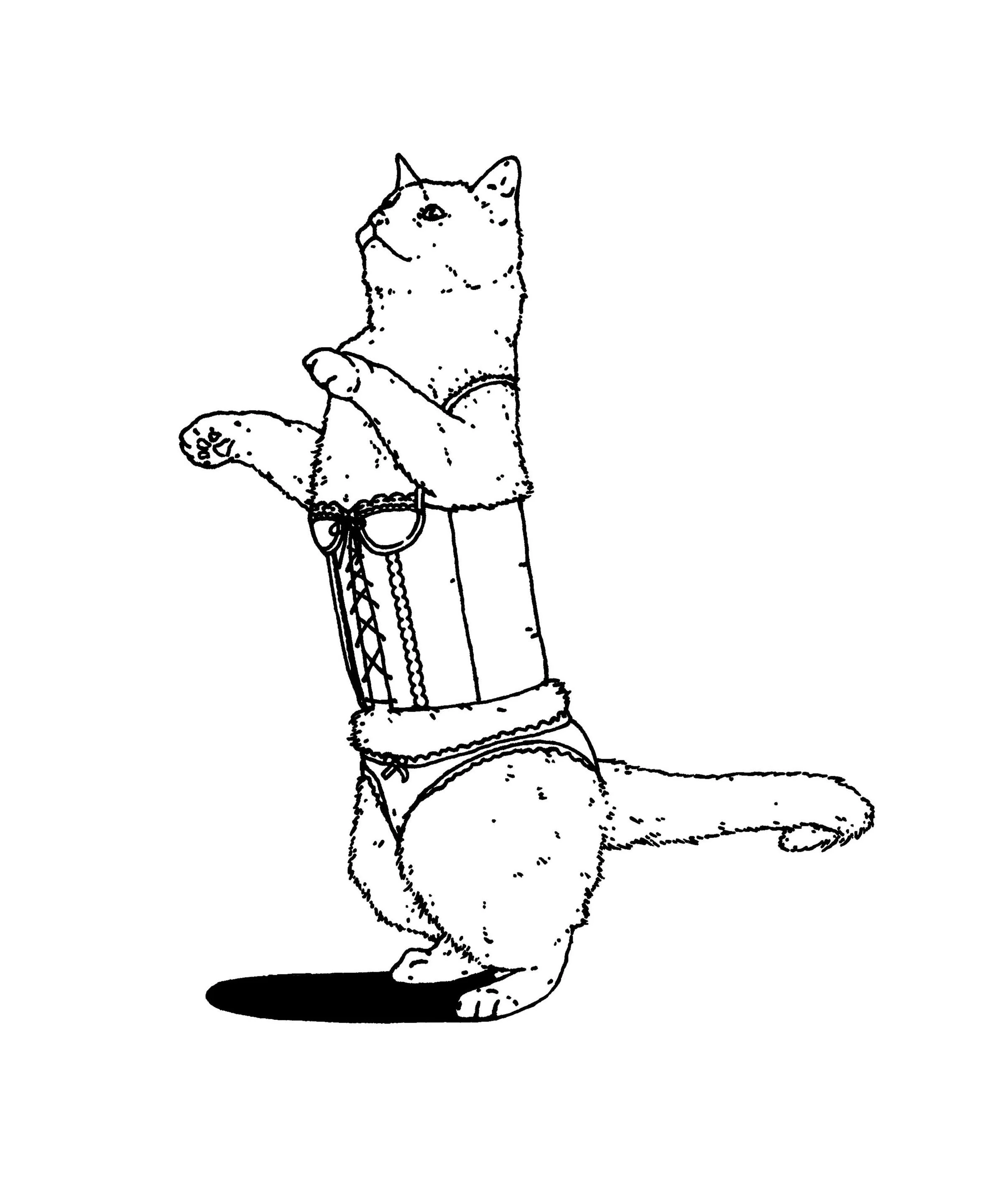 Mr B_W26 - Illustration work 04.jpg
