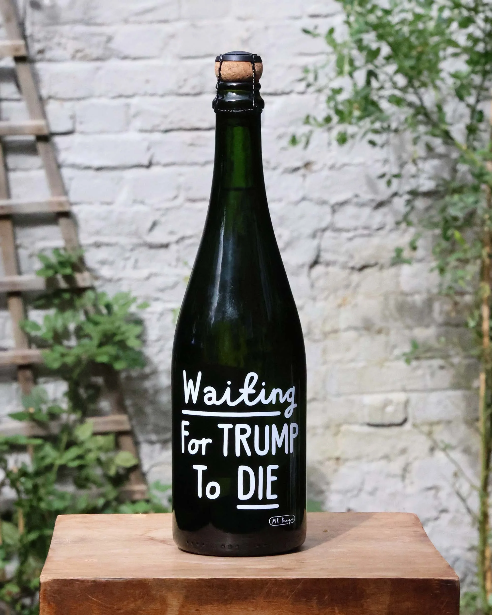 Mr B_W26_Waiting for trump 01.jpg
