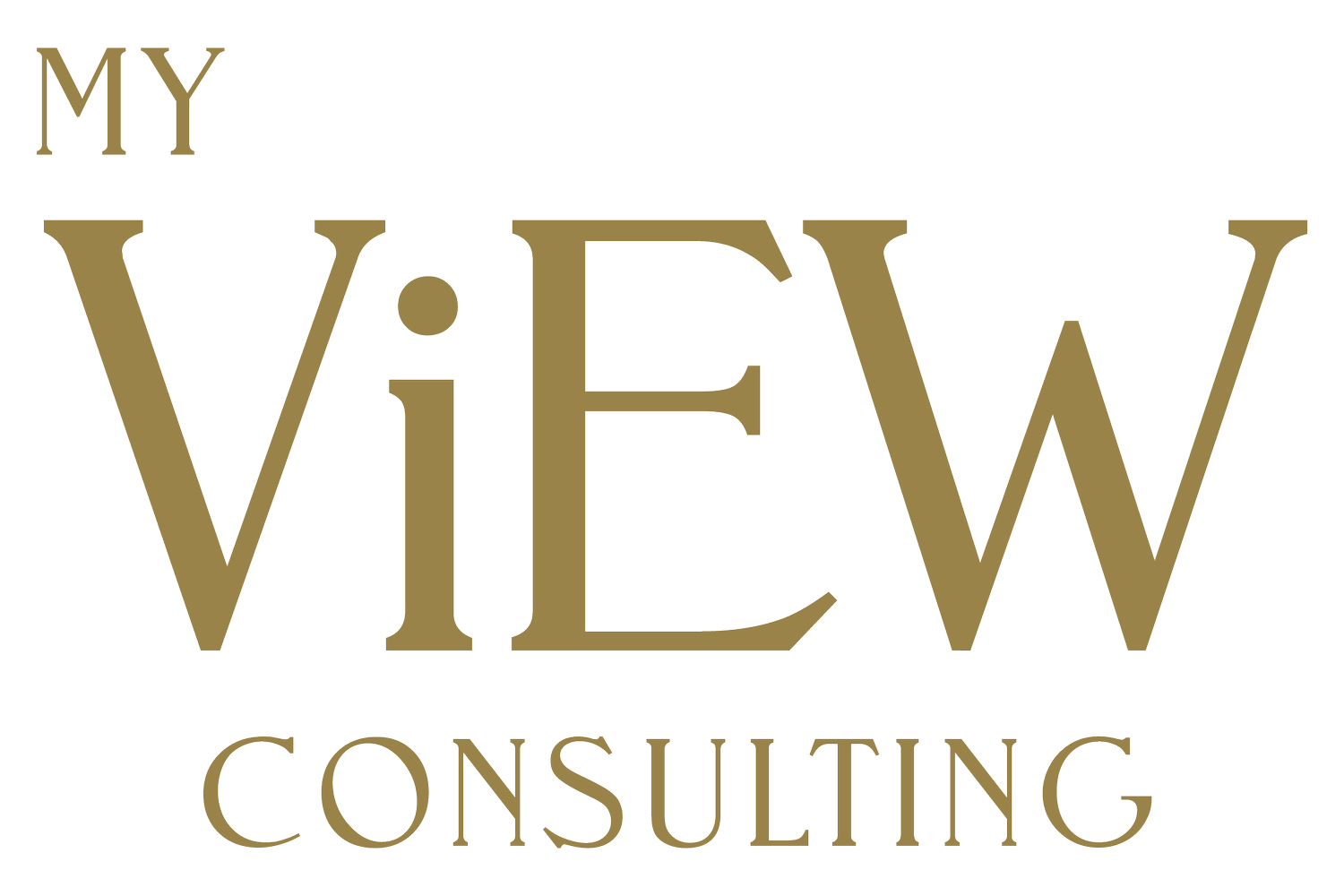My ViEW Consulting