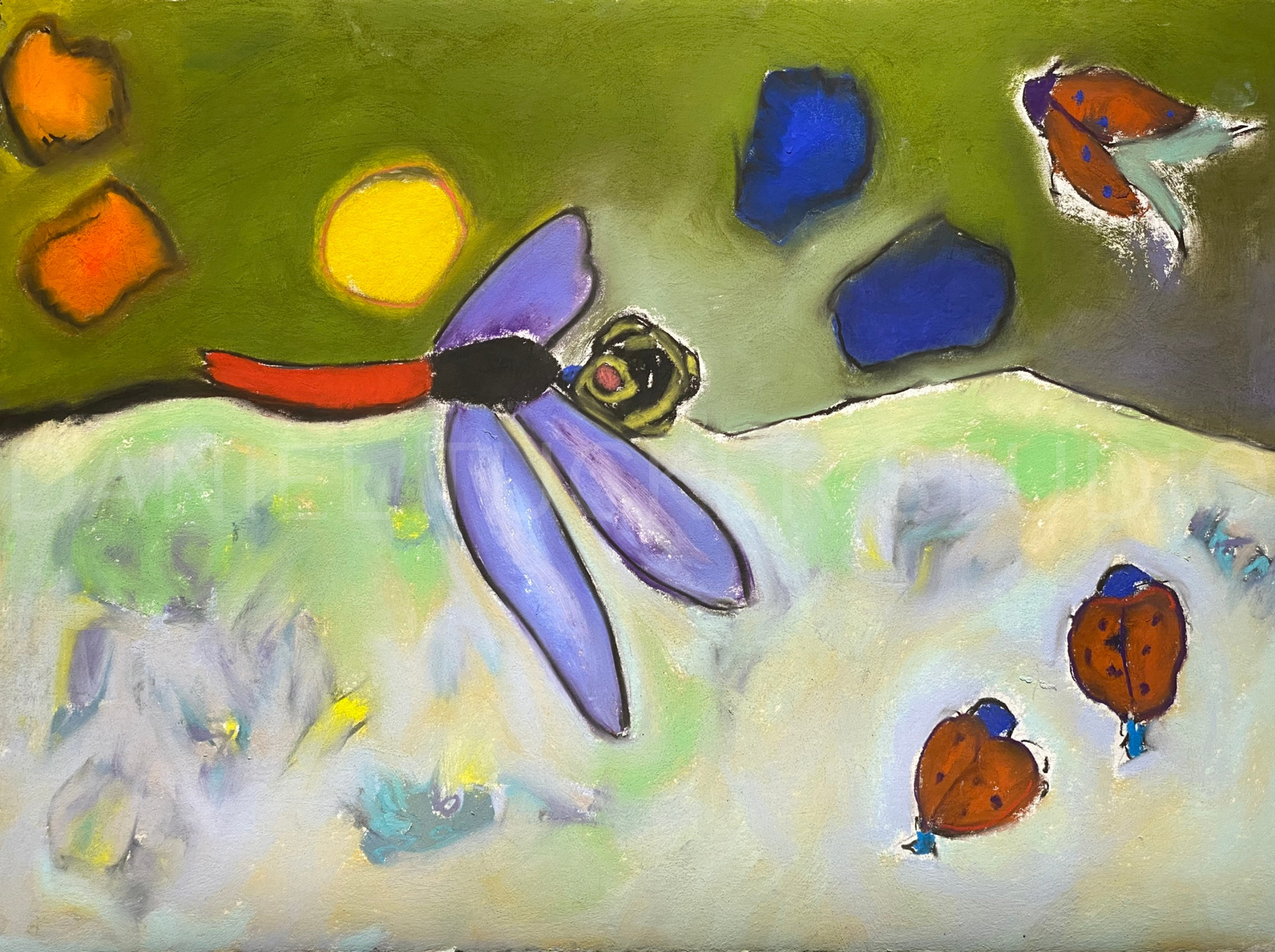 Meadow Lark, Dragon Flies, Lady Bugs