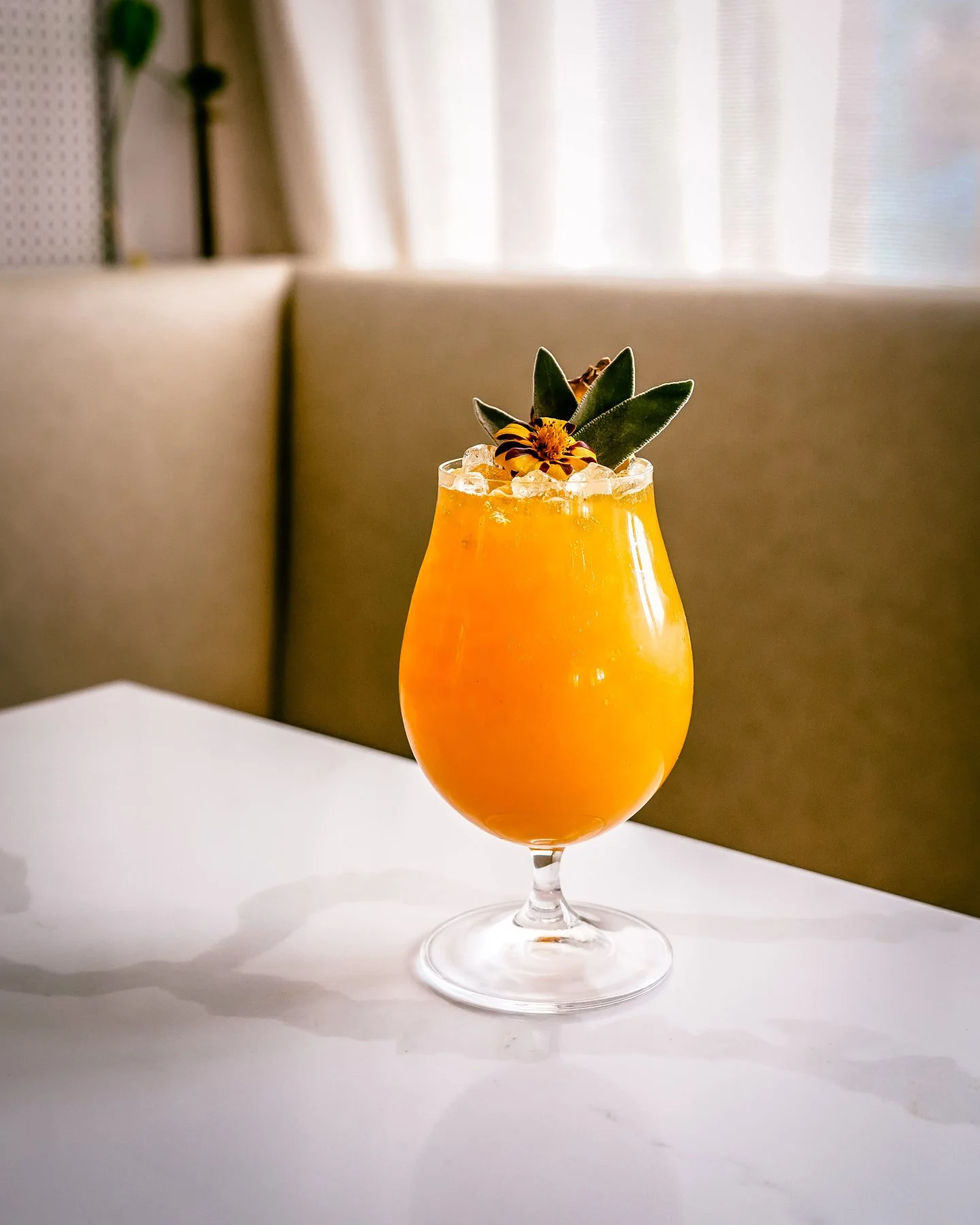 Sun Clap

#InternationalSpiritsCollective #LuxuryHospitality #HospitalityConsulting #CraftCocktails #PremiumSpirits #ExperienceISC #TropicalVibes