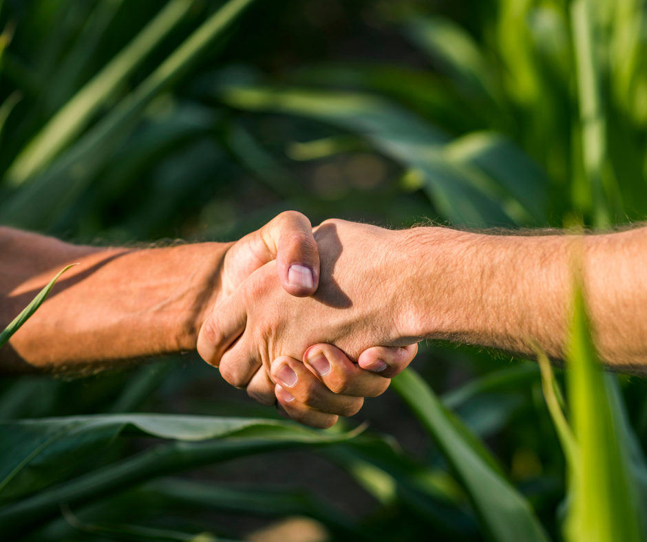 Land Purchase in an LLC or a Corporation? What to Weigh Before You Decide