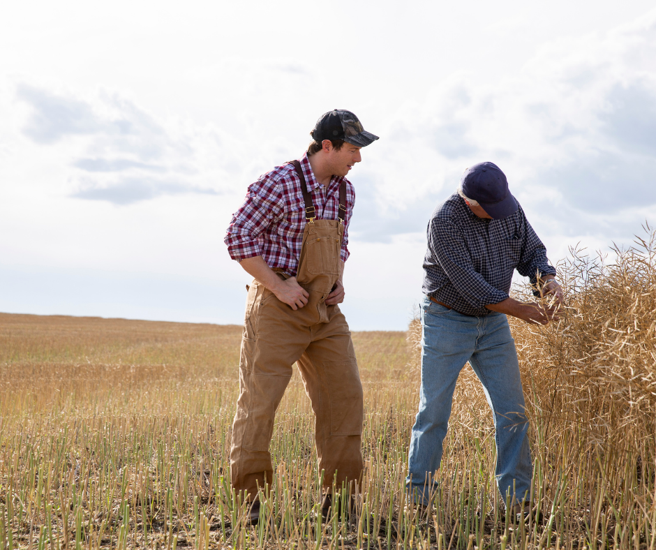 Beginning Farmer Loans: Financing Options for the Next Generation