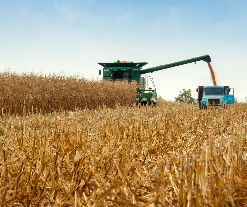 Buy, Lease, or Finance: Deciding How to Add Equipment This Fall