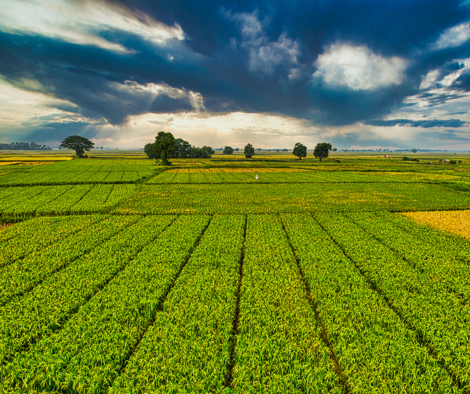 What Documentation You Actually Need for a Land Loan
