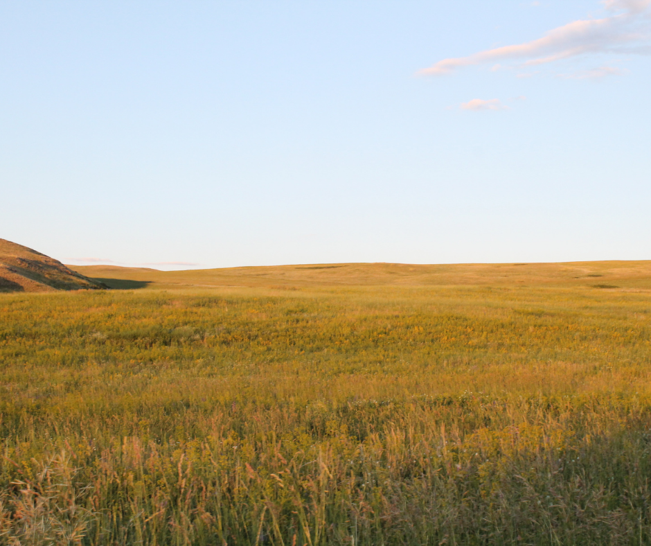 How to Assess Farmland Value Before You Make an Offer