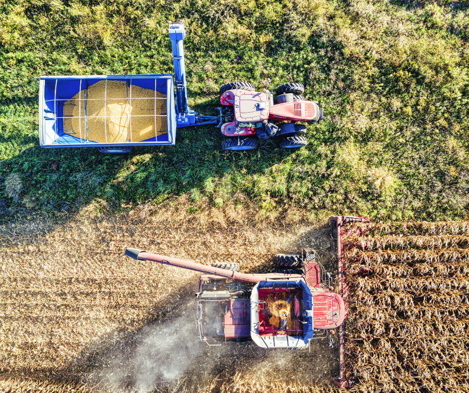 Working Capital: How Much Should Your Farm Really Be Holding?