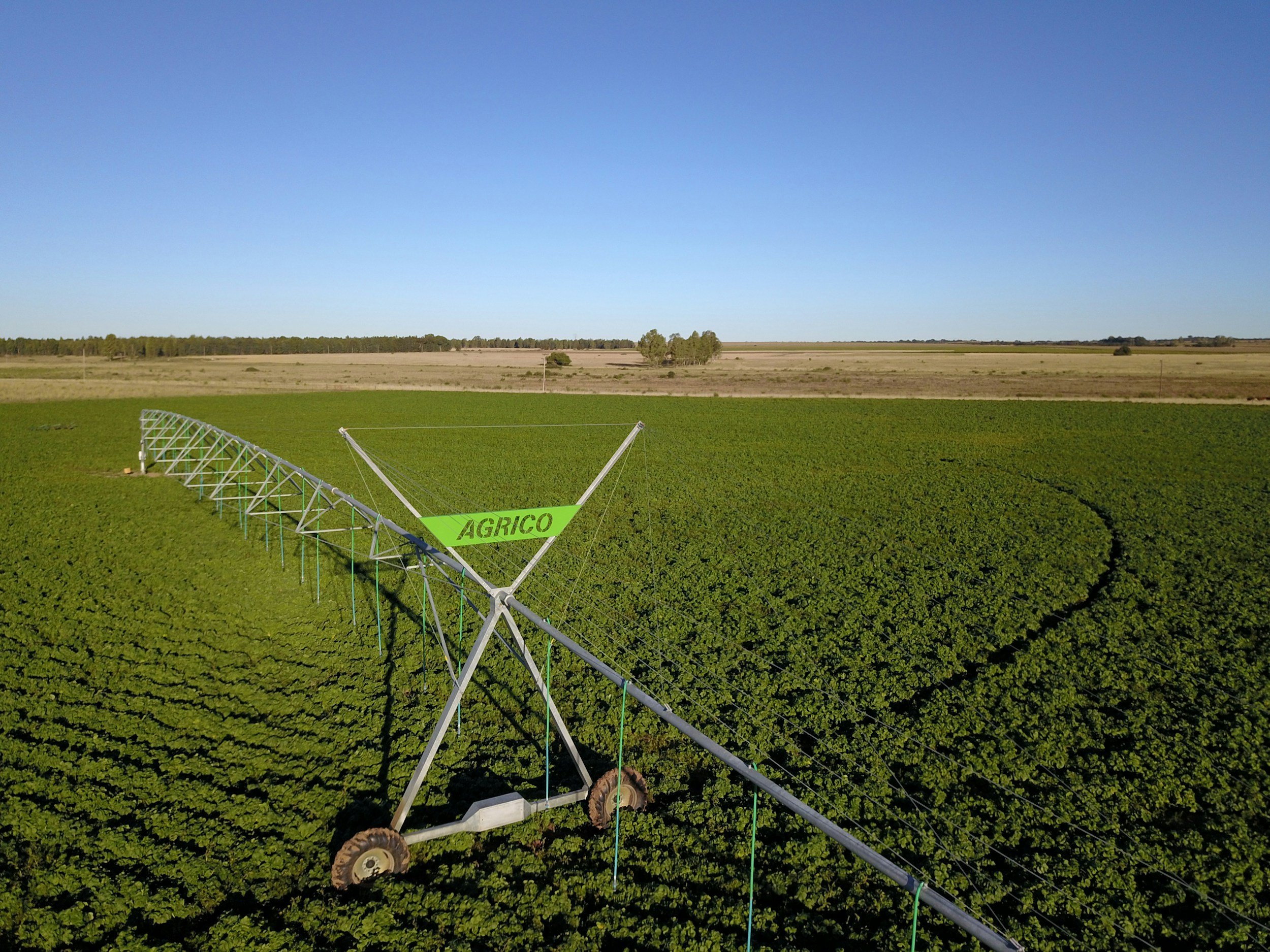 Green crop field with an irrigation system, blue sky overhead, and distant trees on the horizon.