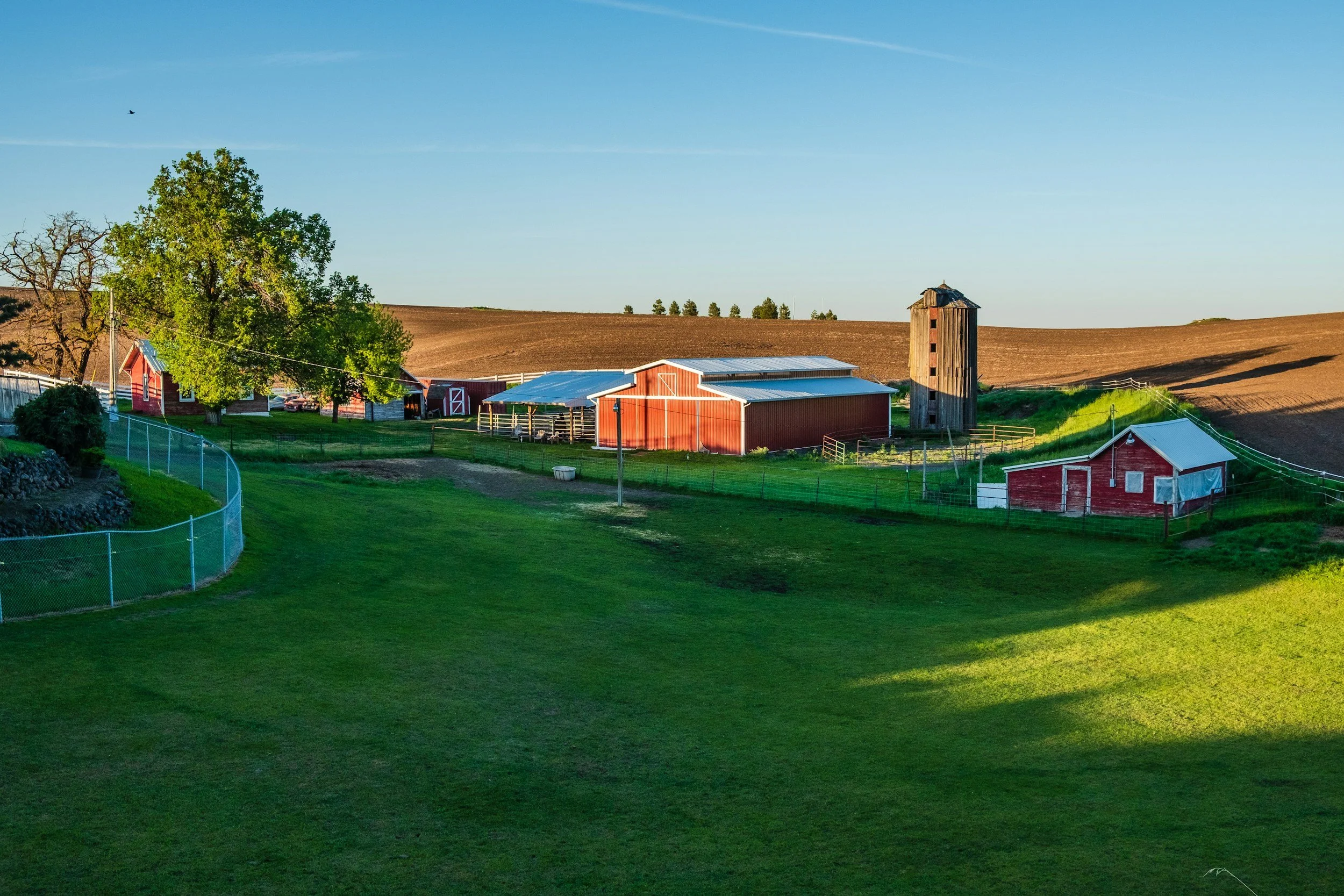 A farm scene with green grass in the foreground, red barns, green trees, and a clear blue sky with a small bird flying.