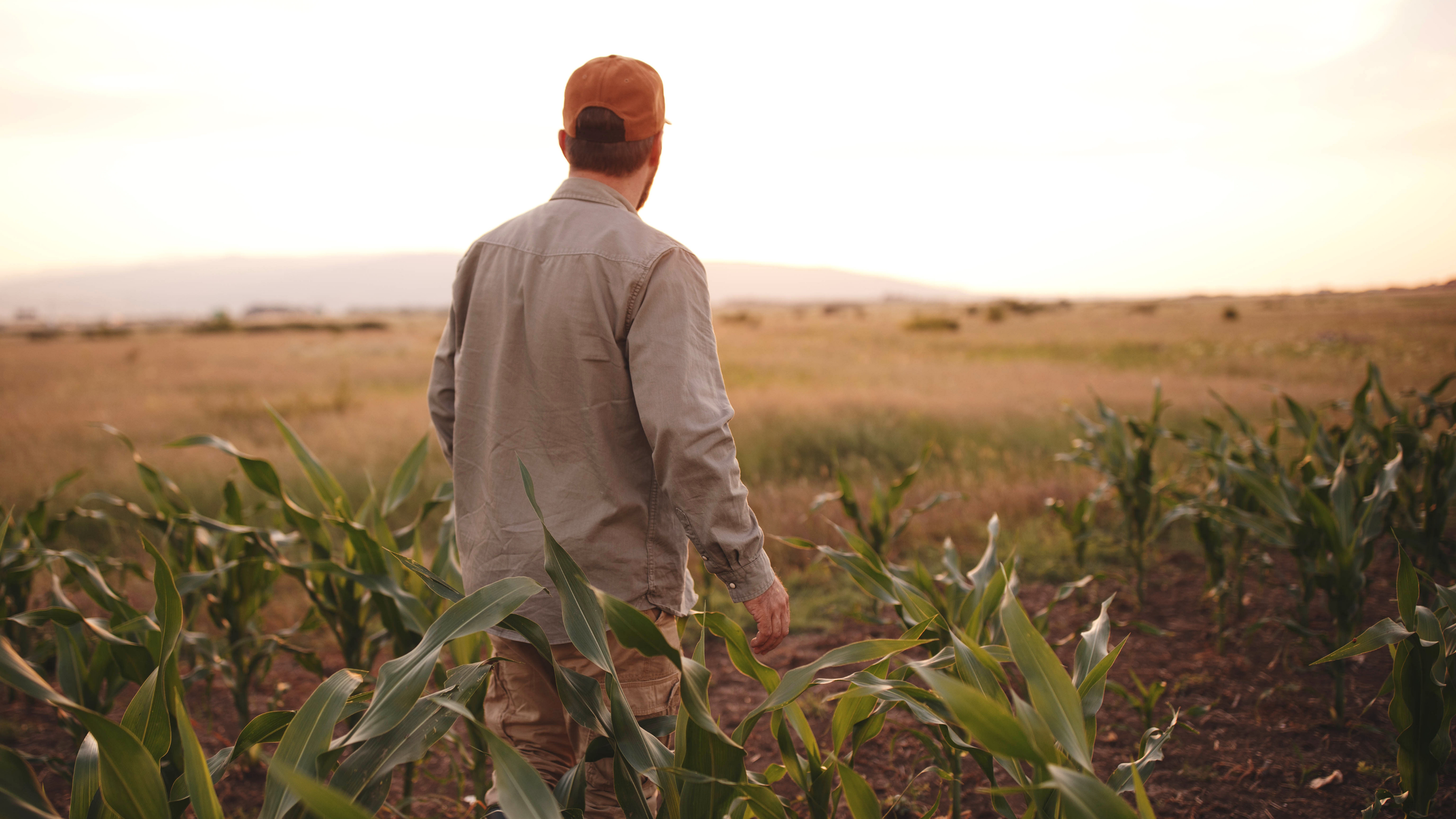 Which Ag Loan Fits Your Operation?
