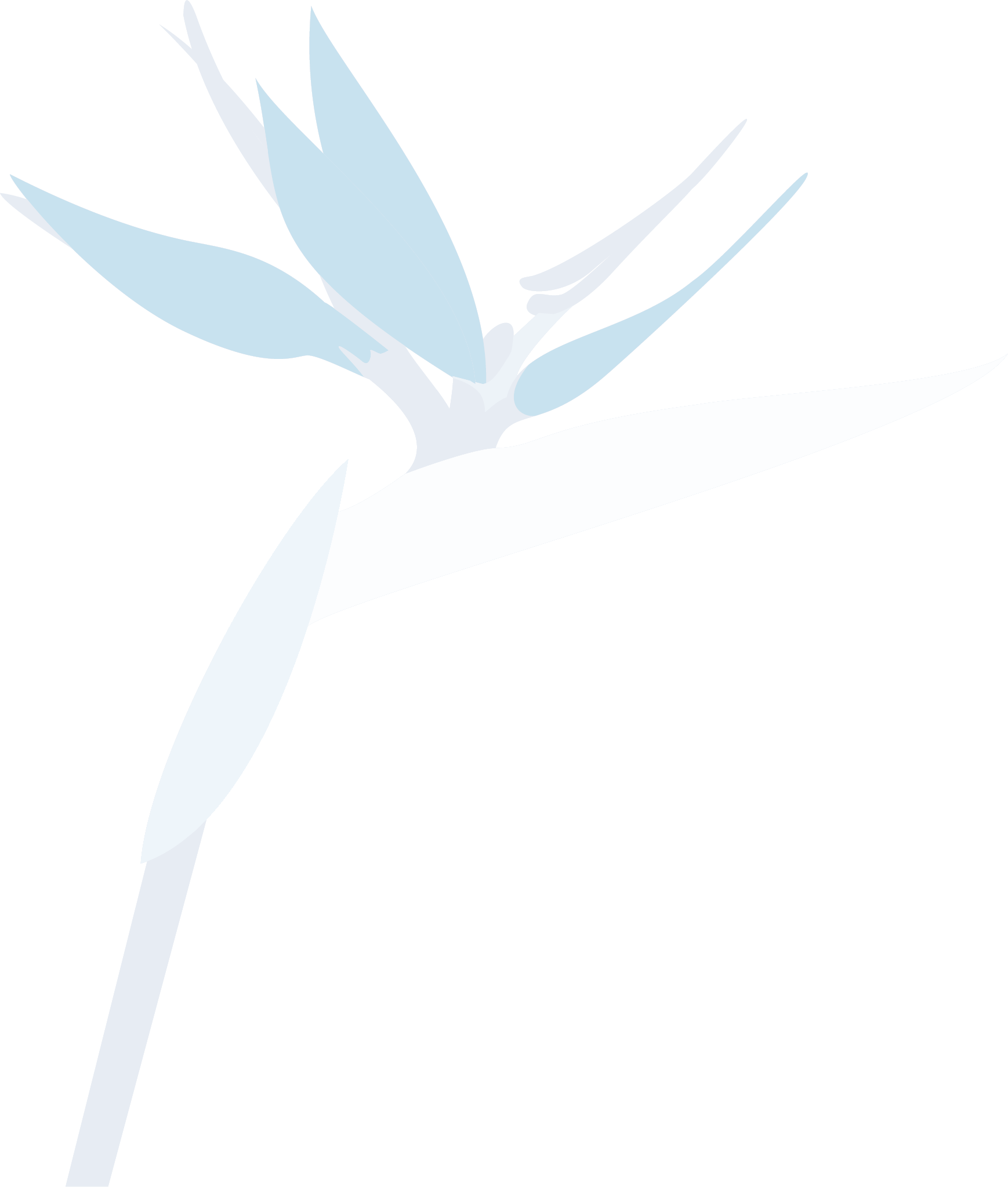 A stylized illustration of a blue and white bird of paradise flower with elongated petals and leaves.